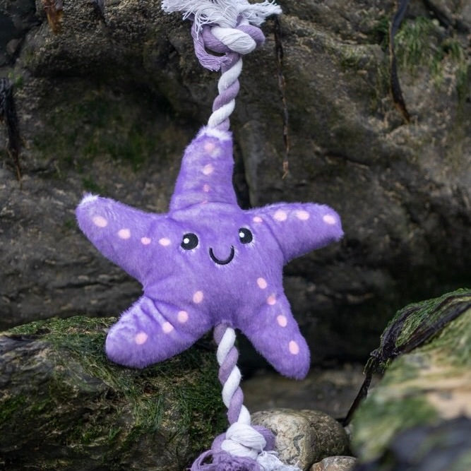 PETFACE PLANET Samantha Starfish Plush Dog Toy