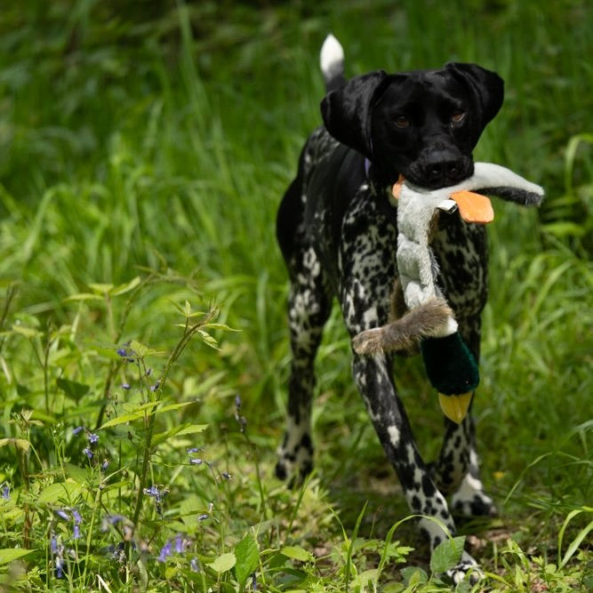 PETFACE Multi Squeak Duck Plush Dog Toy