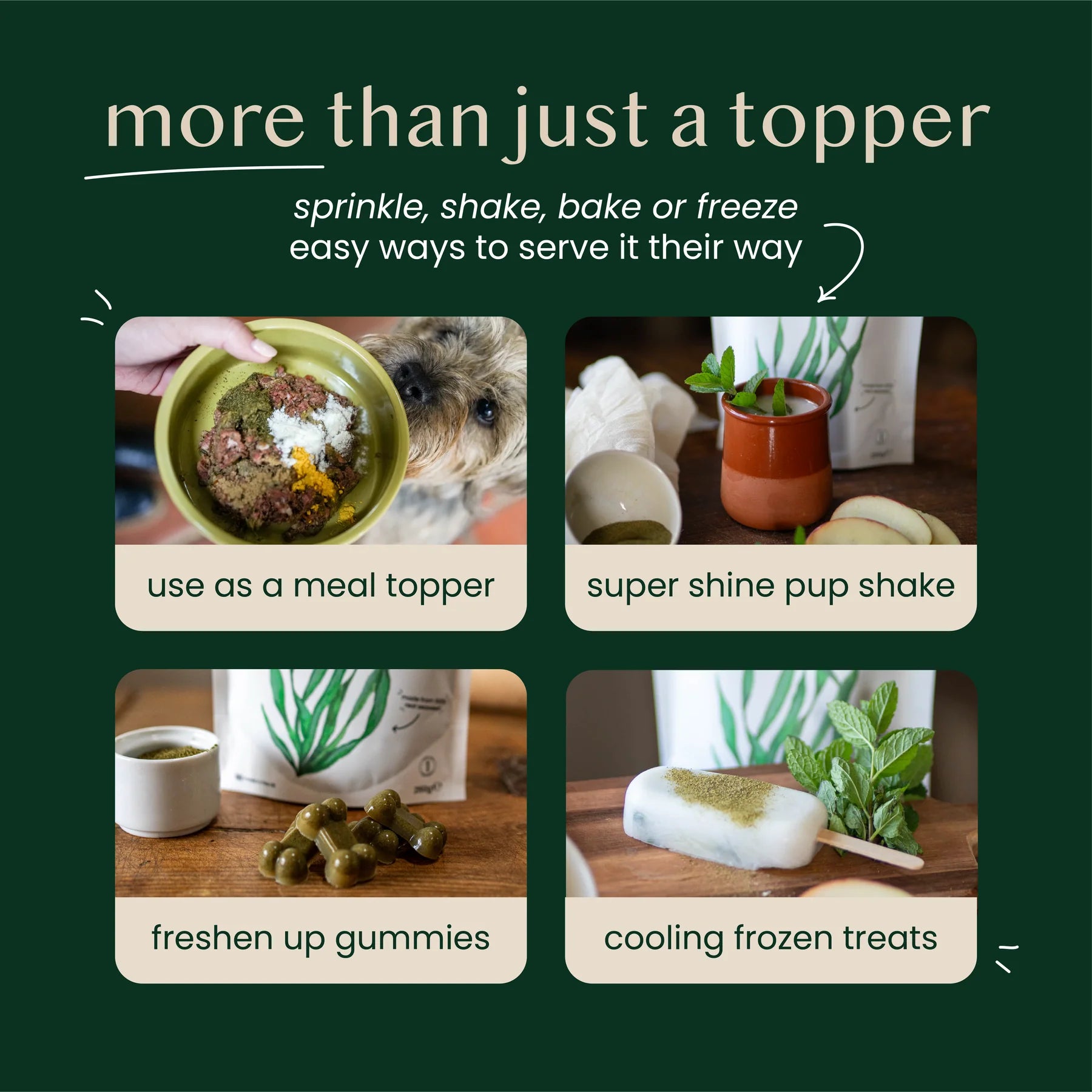 Fettle Natural Kelp Seaweed Powder