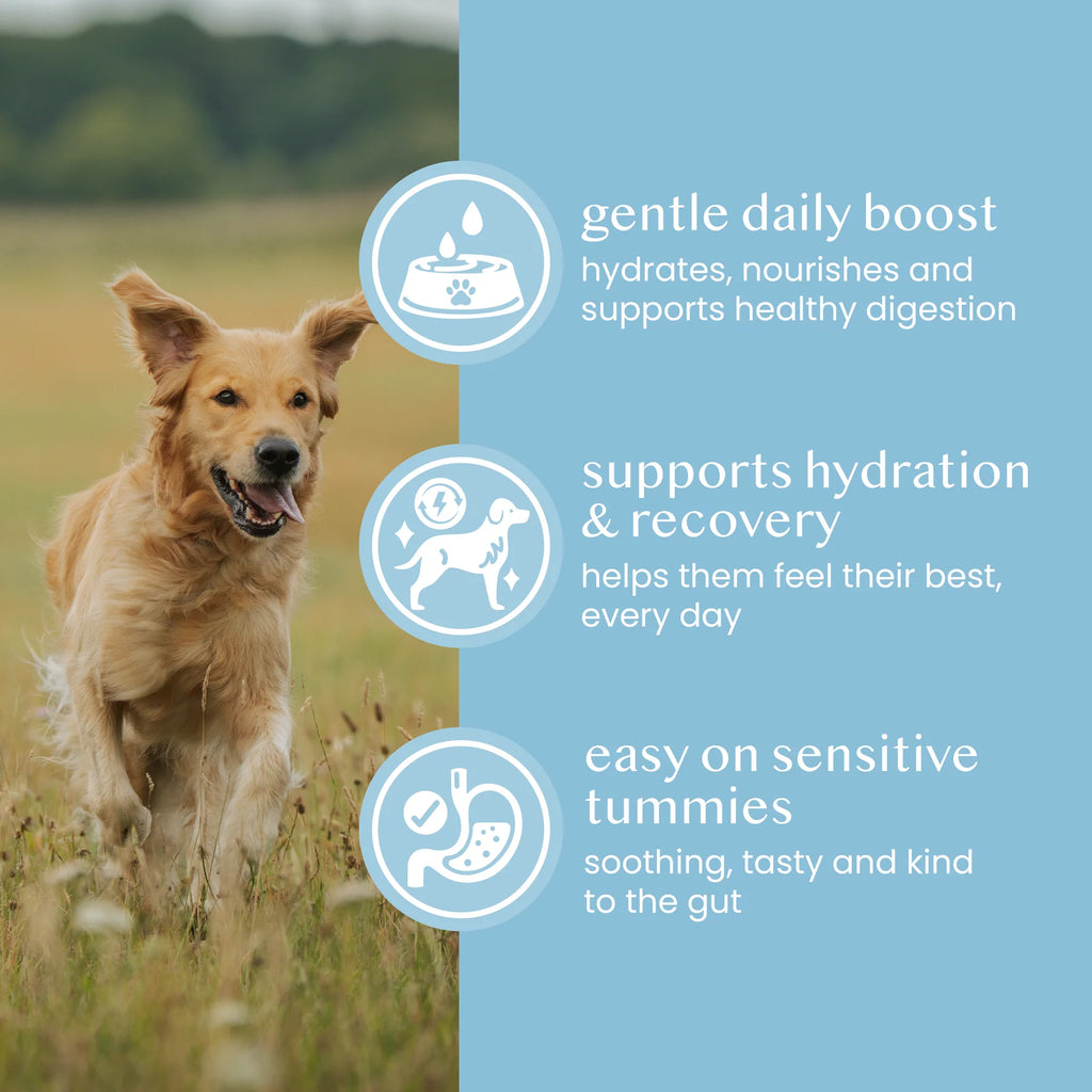 Fettle Whole Goats Milk Powder