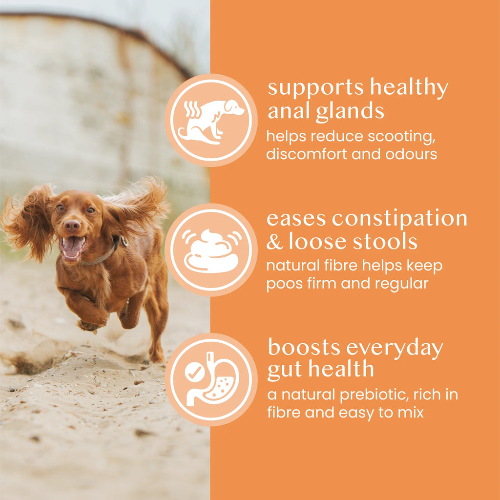 Fettle Pure & Natural Pumpkin Powder