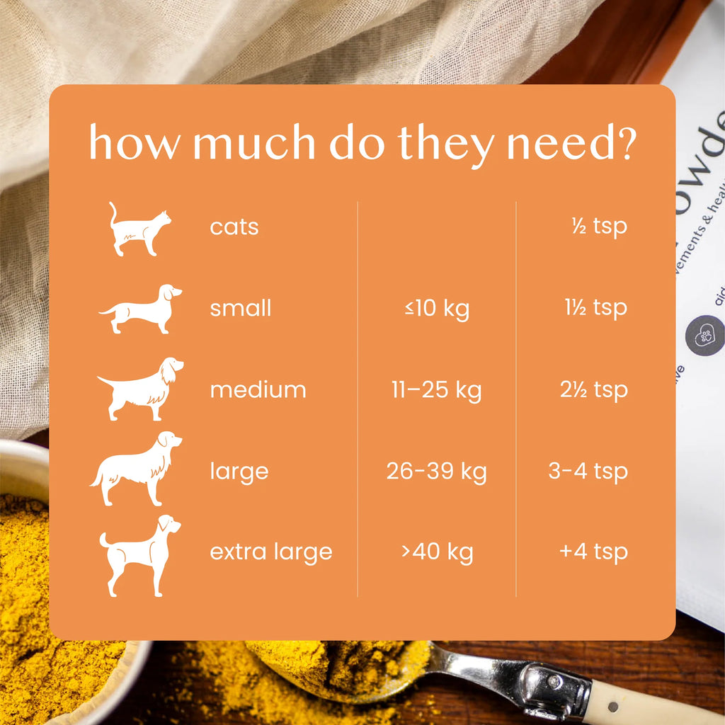 Fettle Pure & Natural Pumpkin Powder