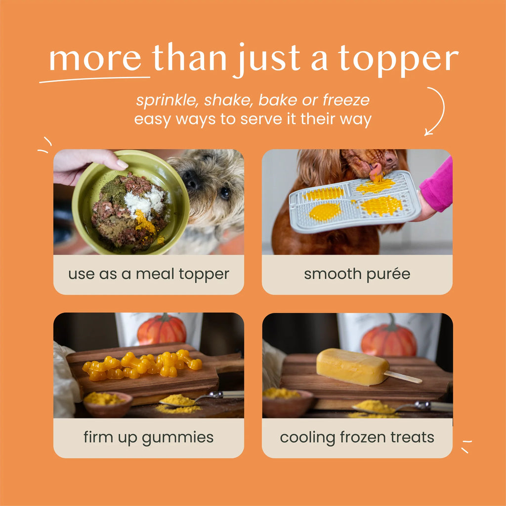 Fettle Pure & Natural Pumpkin Powder