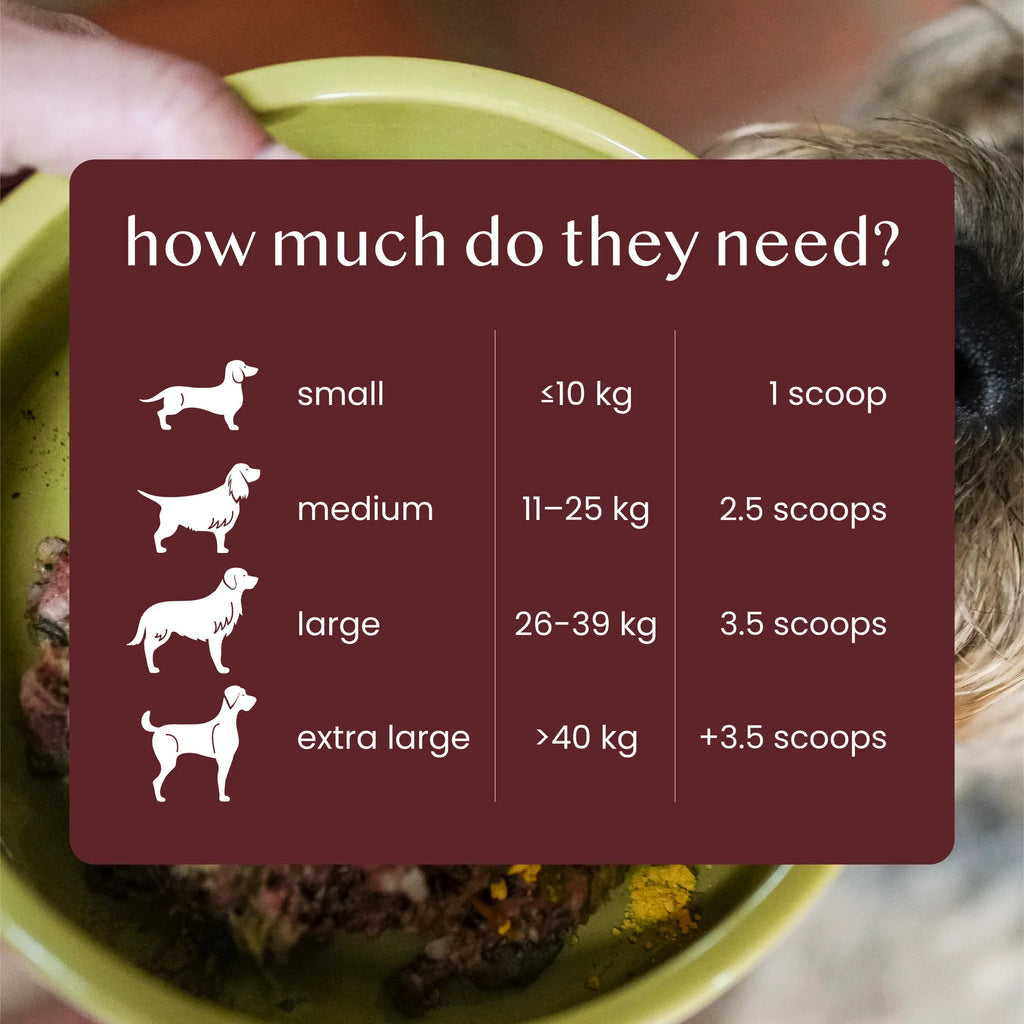 Fettle Natural & Wholefood Pure Joint Support