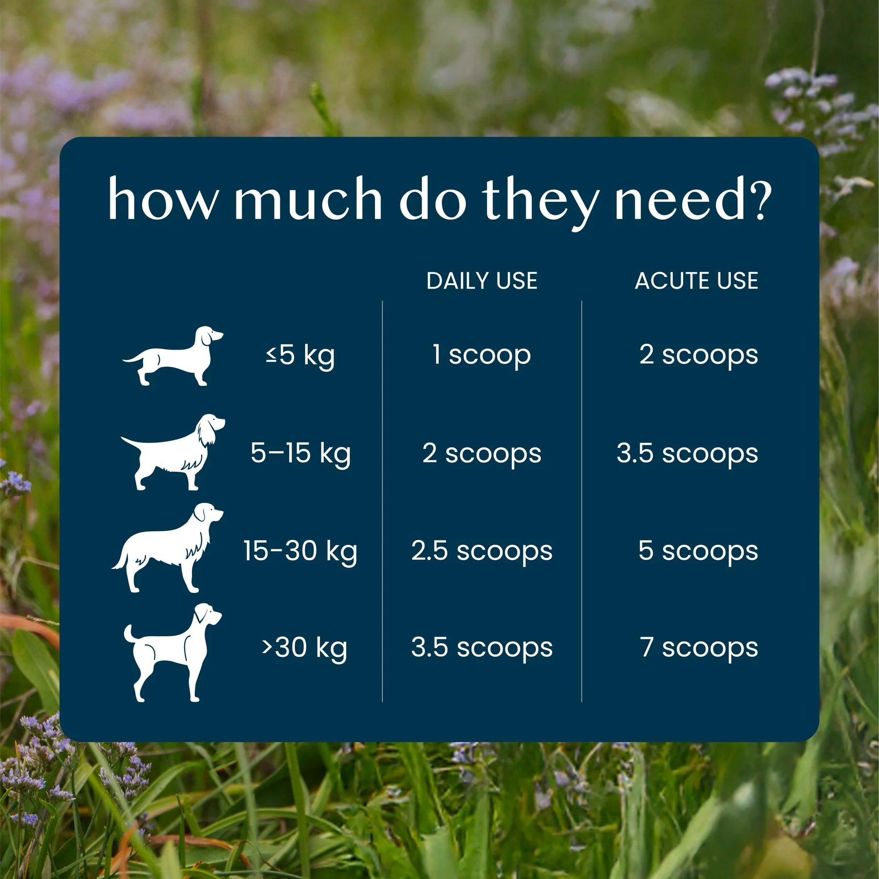 Fettle Pure & Gentle Calming Support Powder