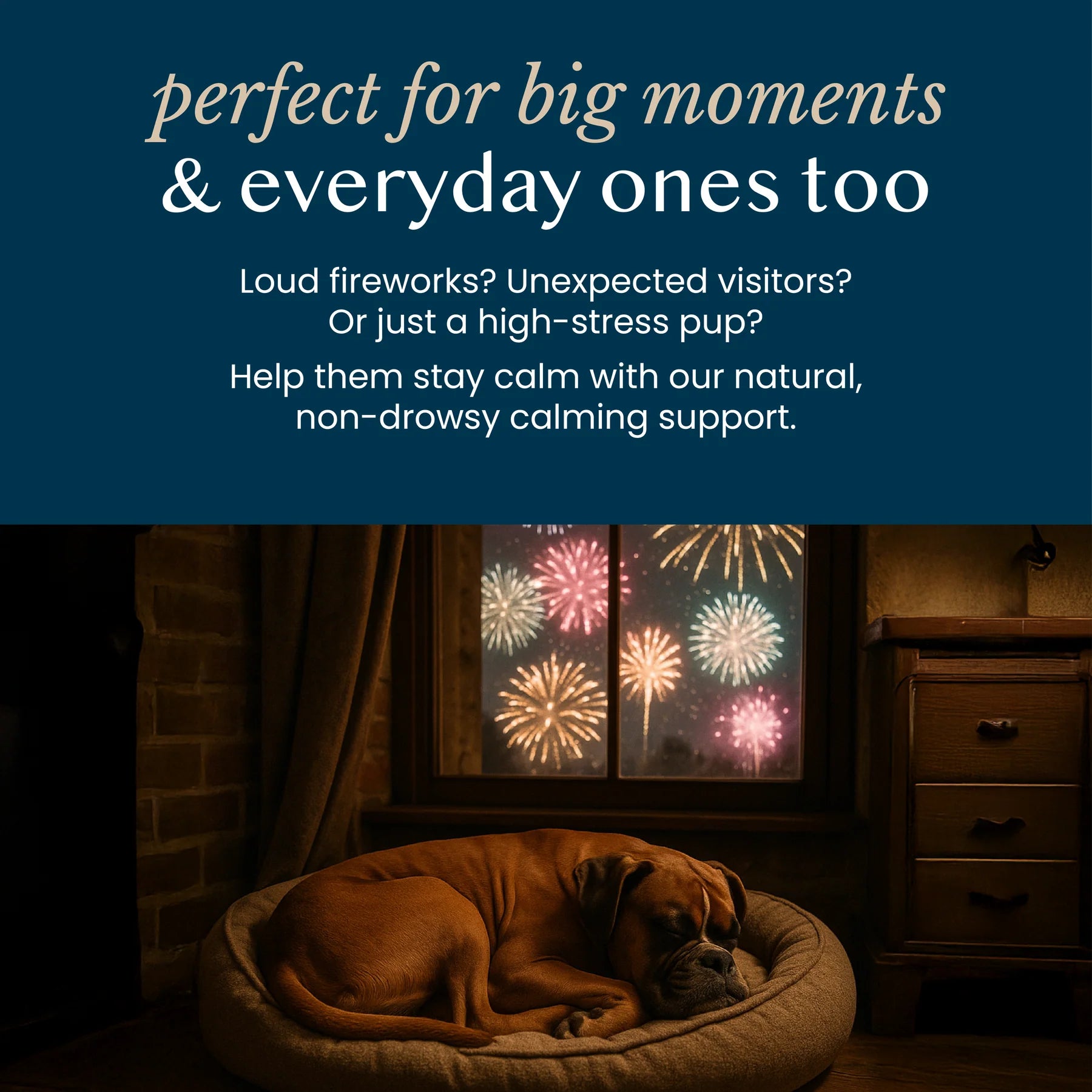 Fettle Pure & Gentle Calming Support Powder