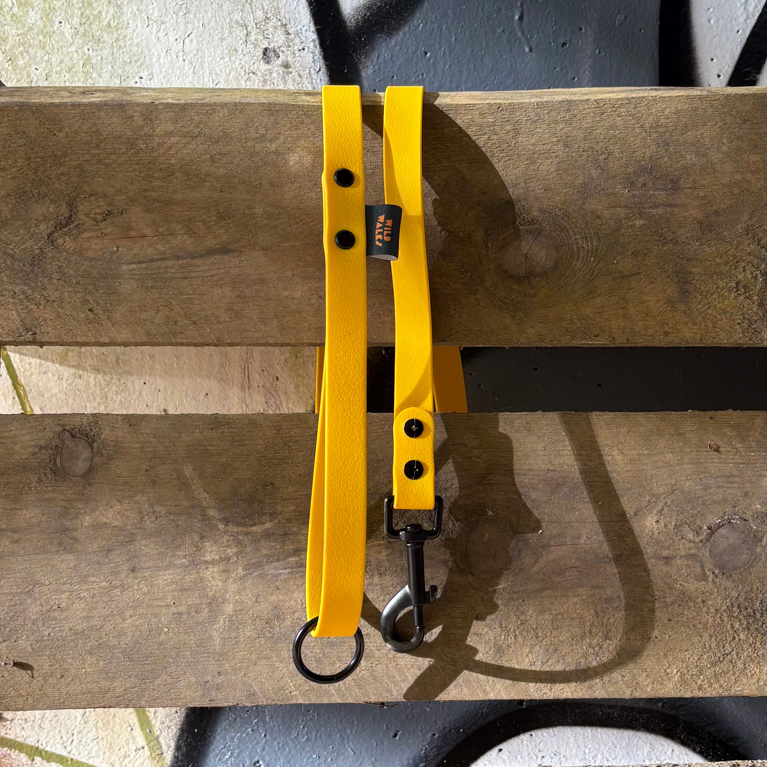 Retro Rave Waterproof Lead