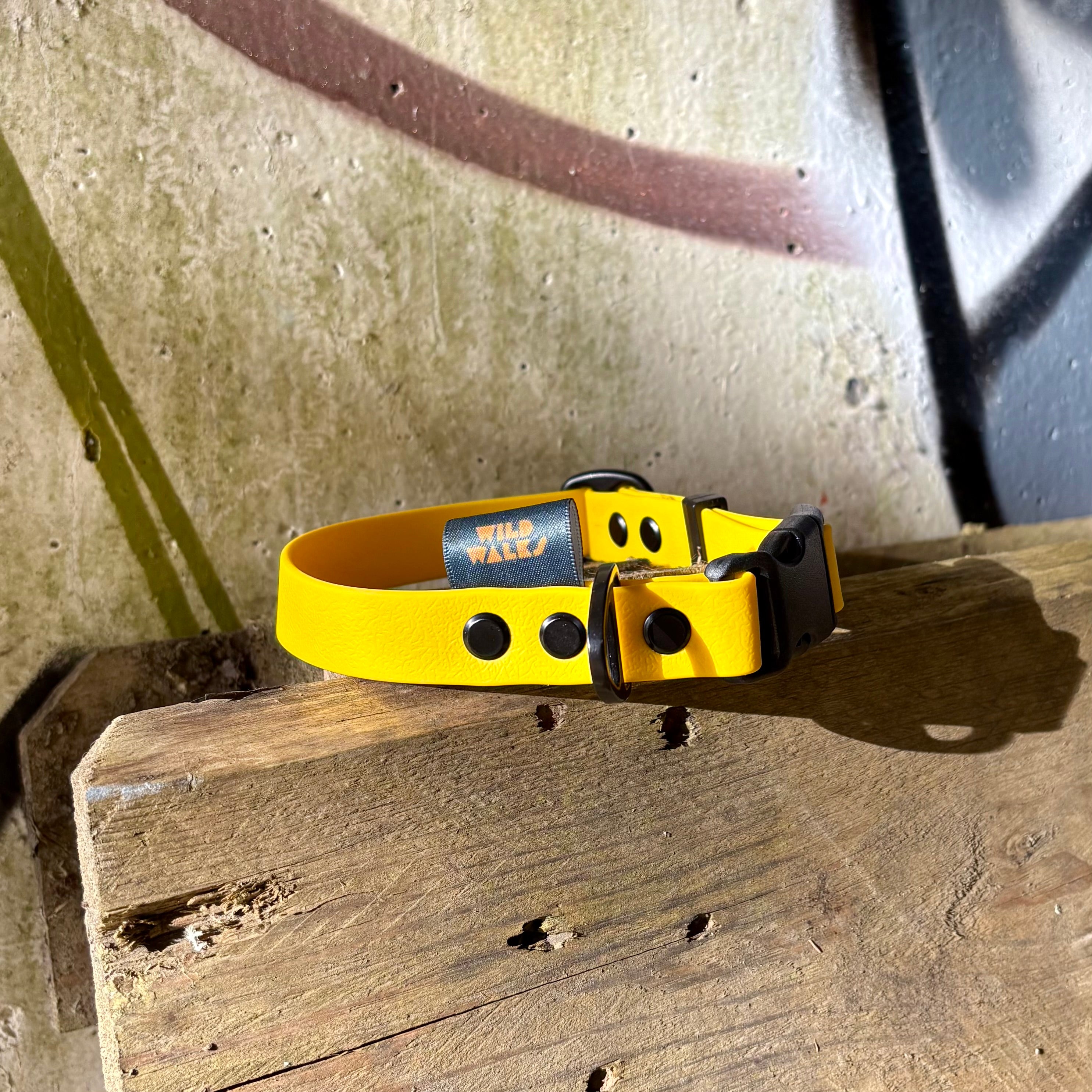 Retro Rave Waterproof Collar