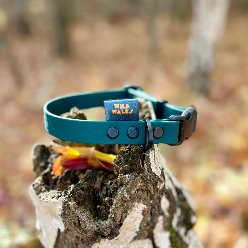 Autumn Adventures Waterproof Collar