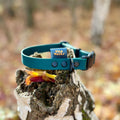 Autumn Adventures Waterproof Collar