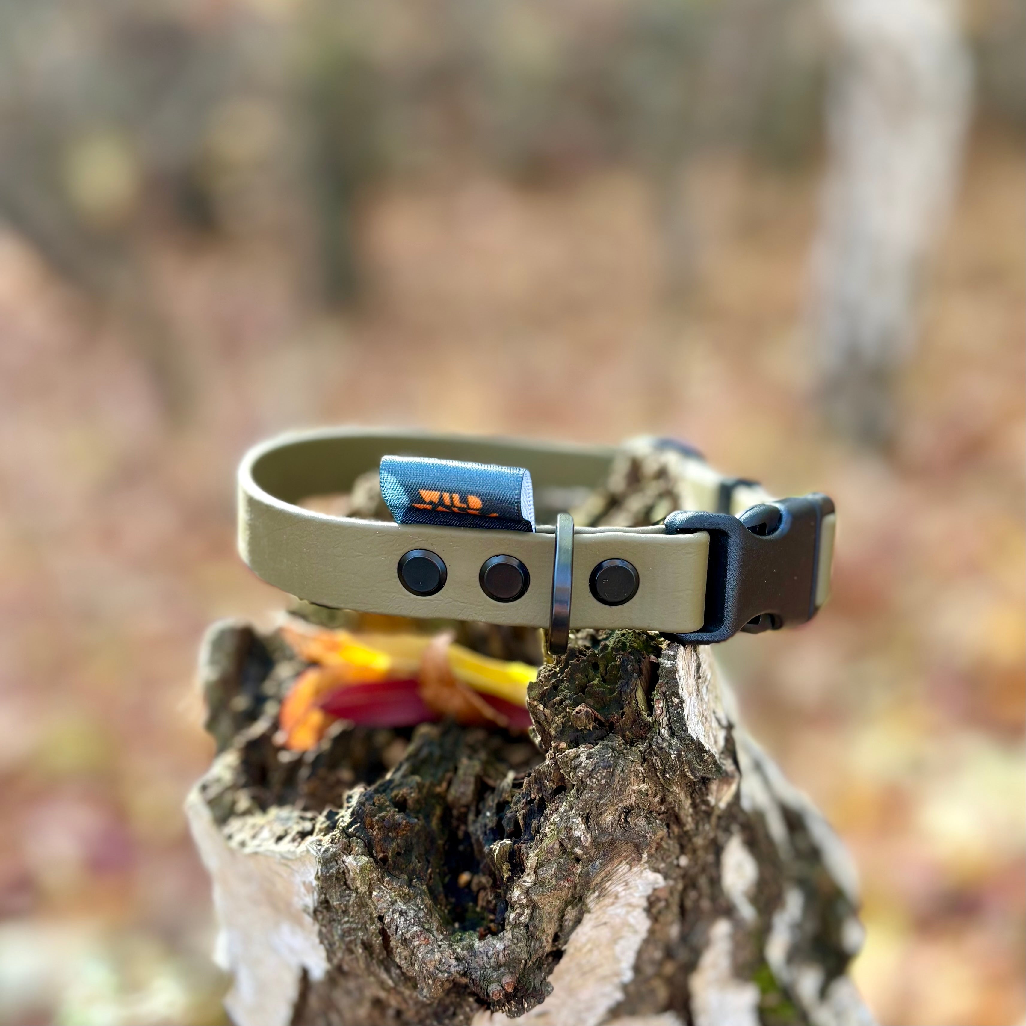 Autumn Adventures Waterproof Collar