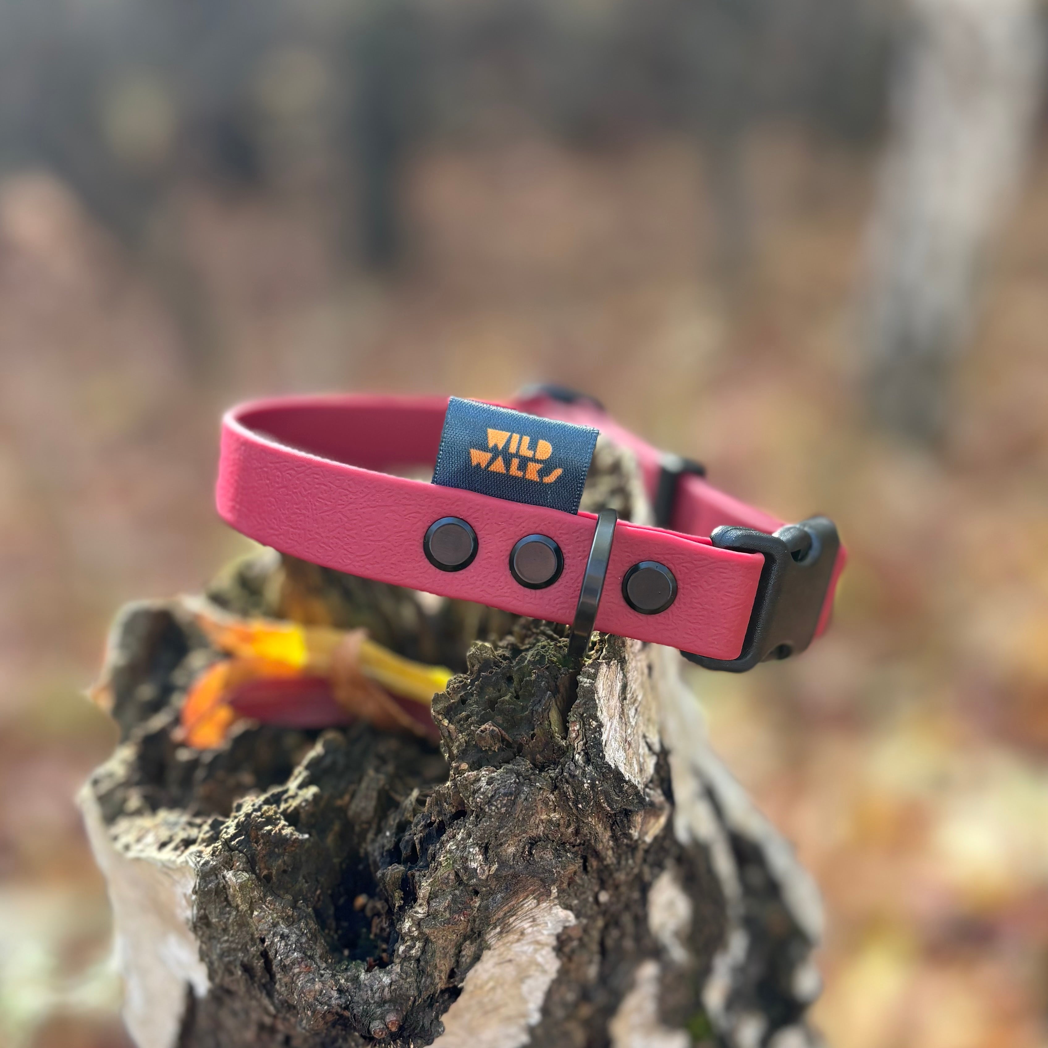 Autumn Adventures Waterproof Collar