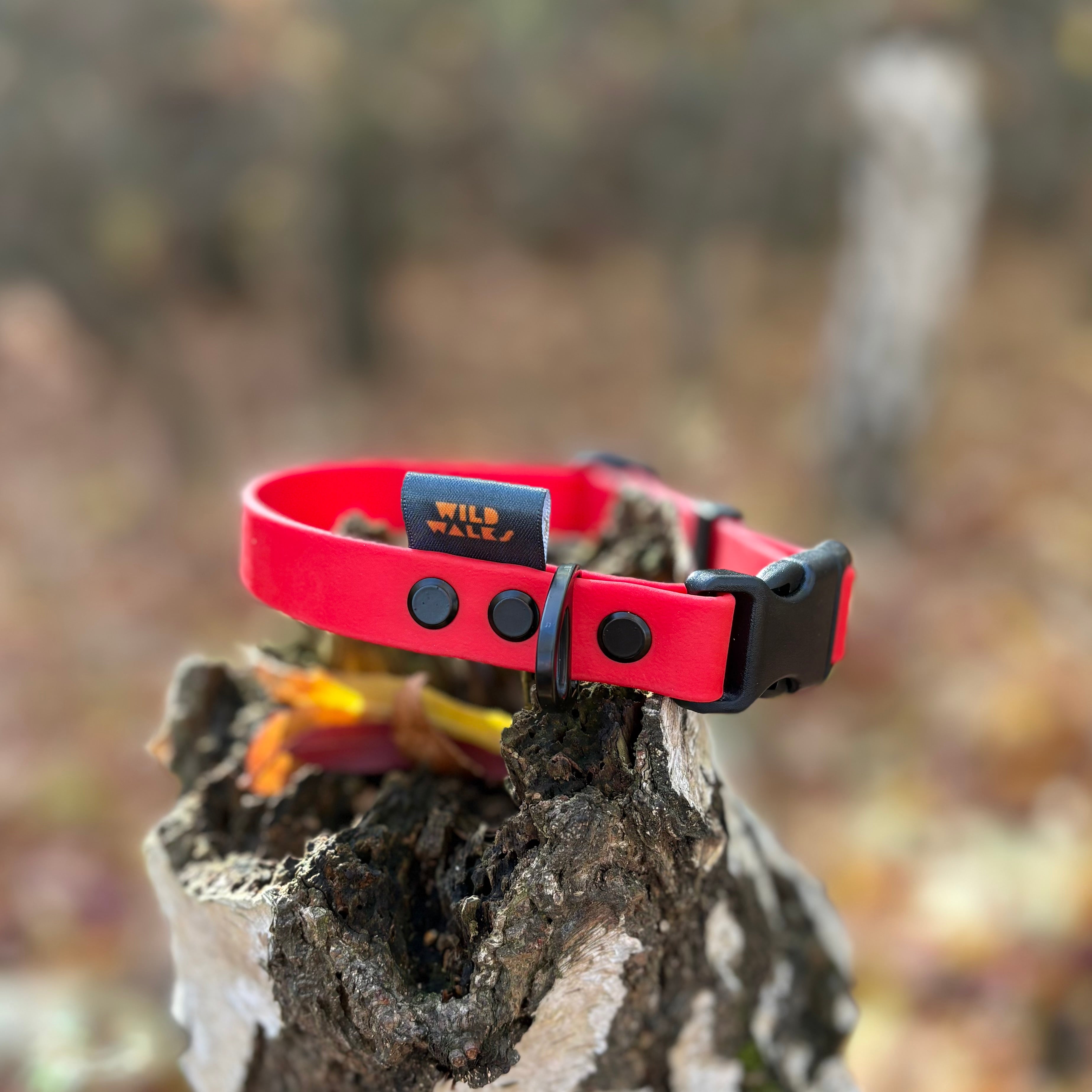 Autumn Adventures Waterproof Collar