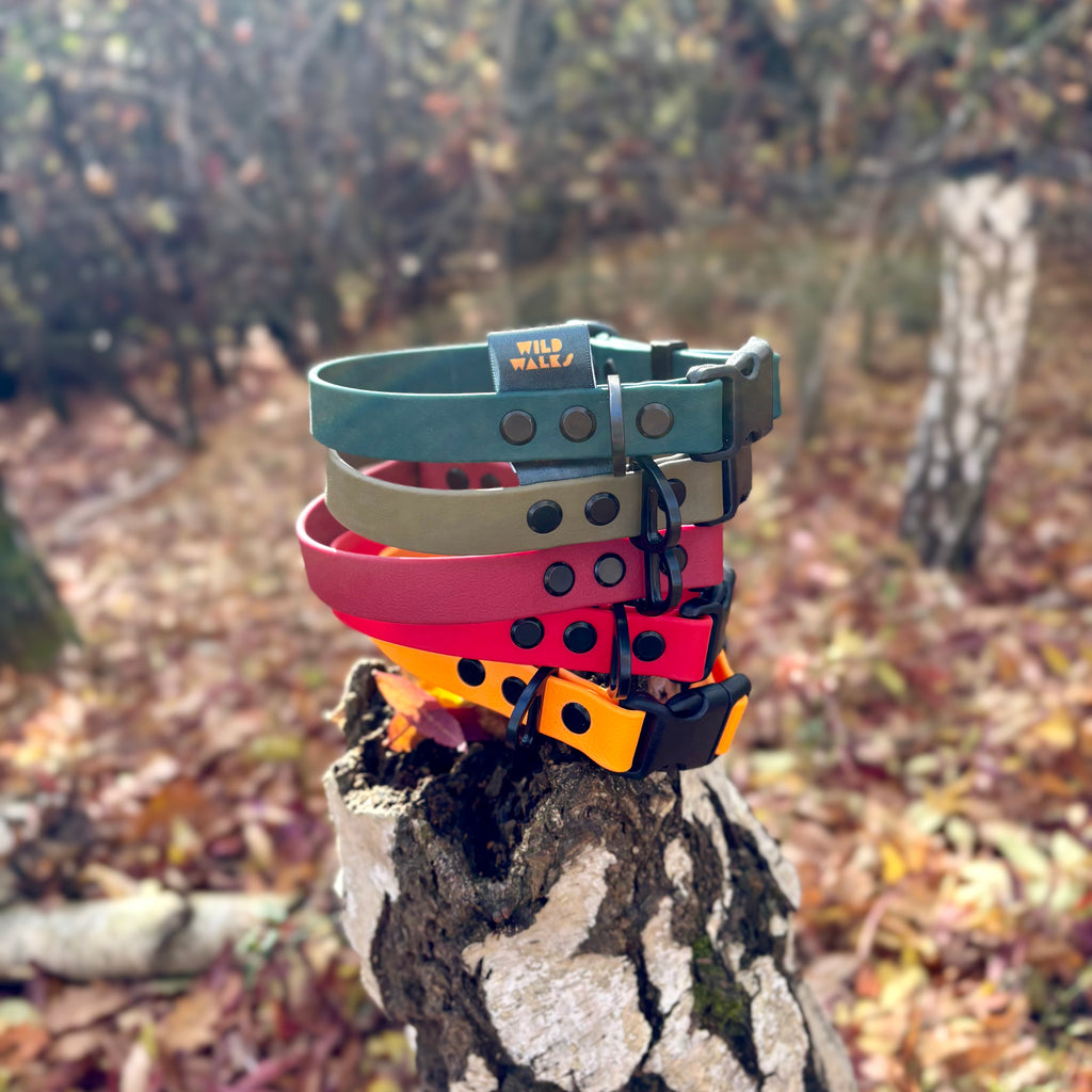 Autumn Adventures Waterproof Collar