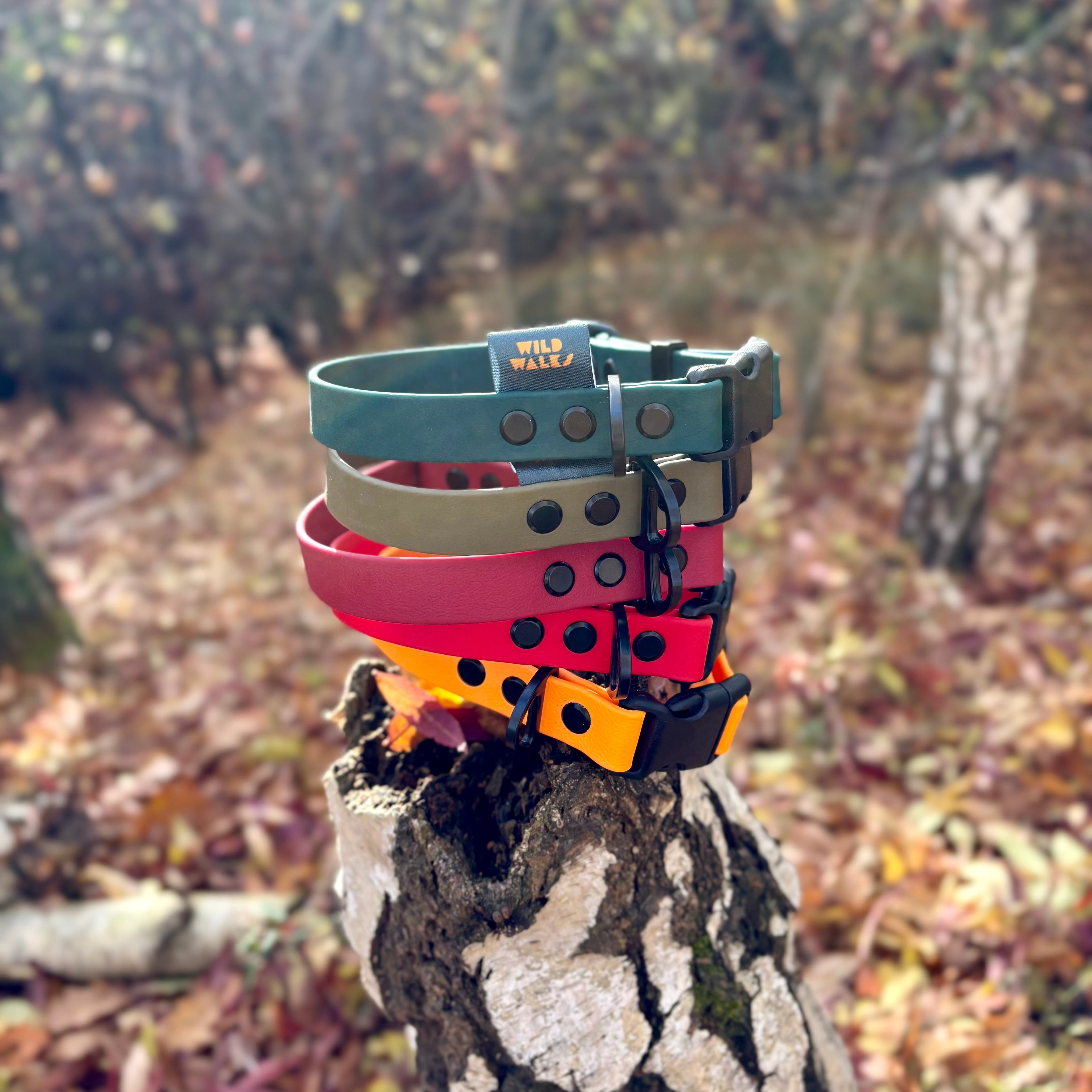 Autumn Adventures Waterproof Collar