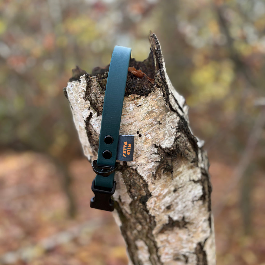 Autumn Adventures Waterproof Collar