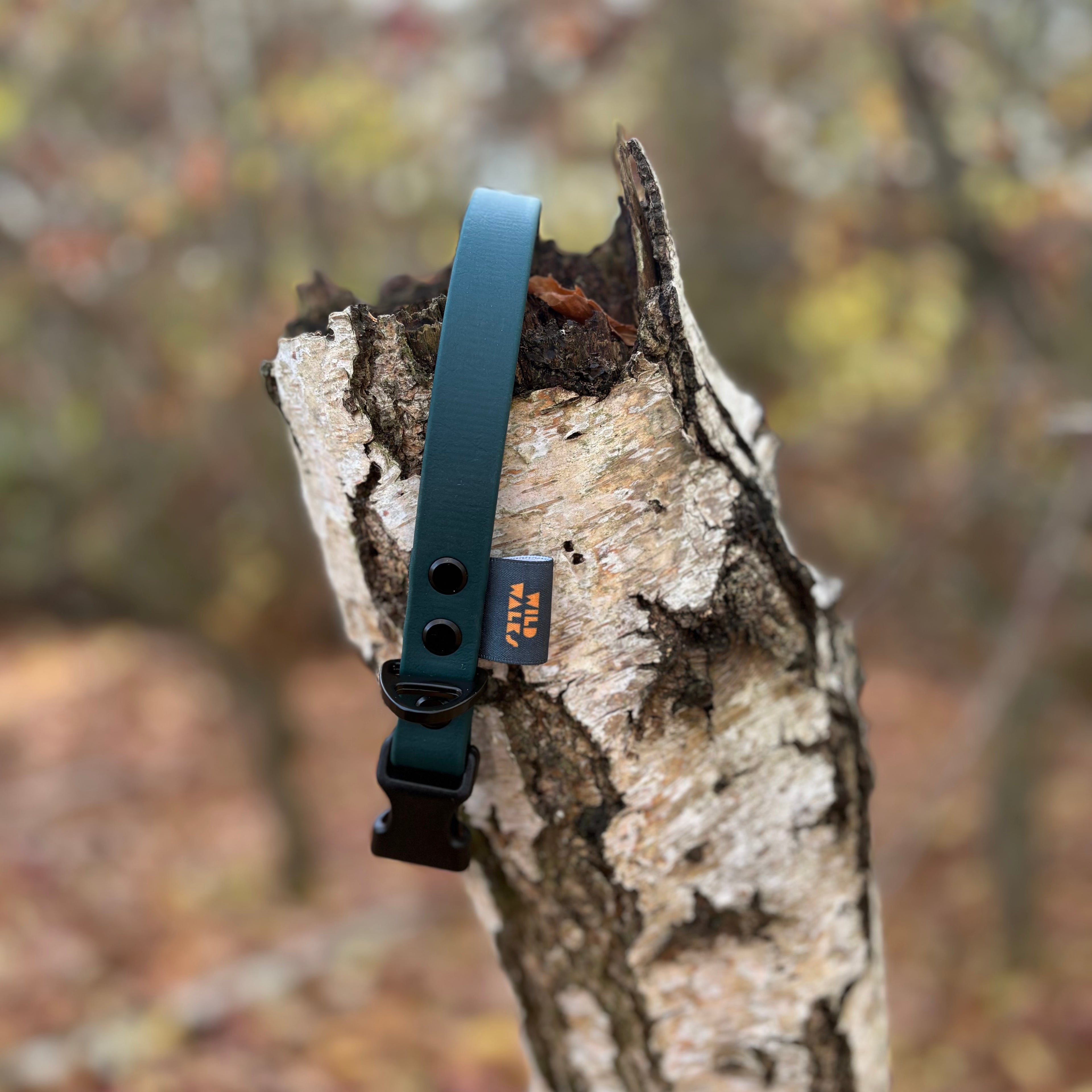 Autumn Adventures Waterproof Collar