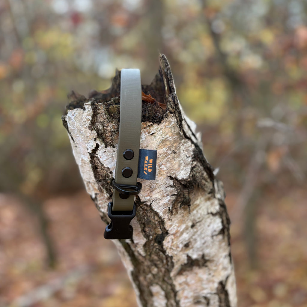 Autumn Adventures Waterproof Collar