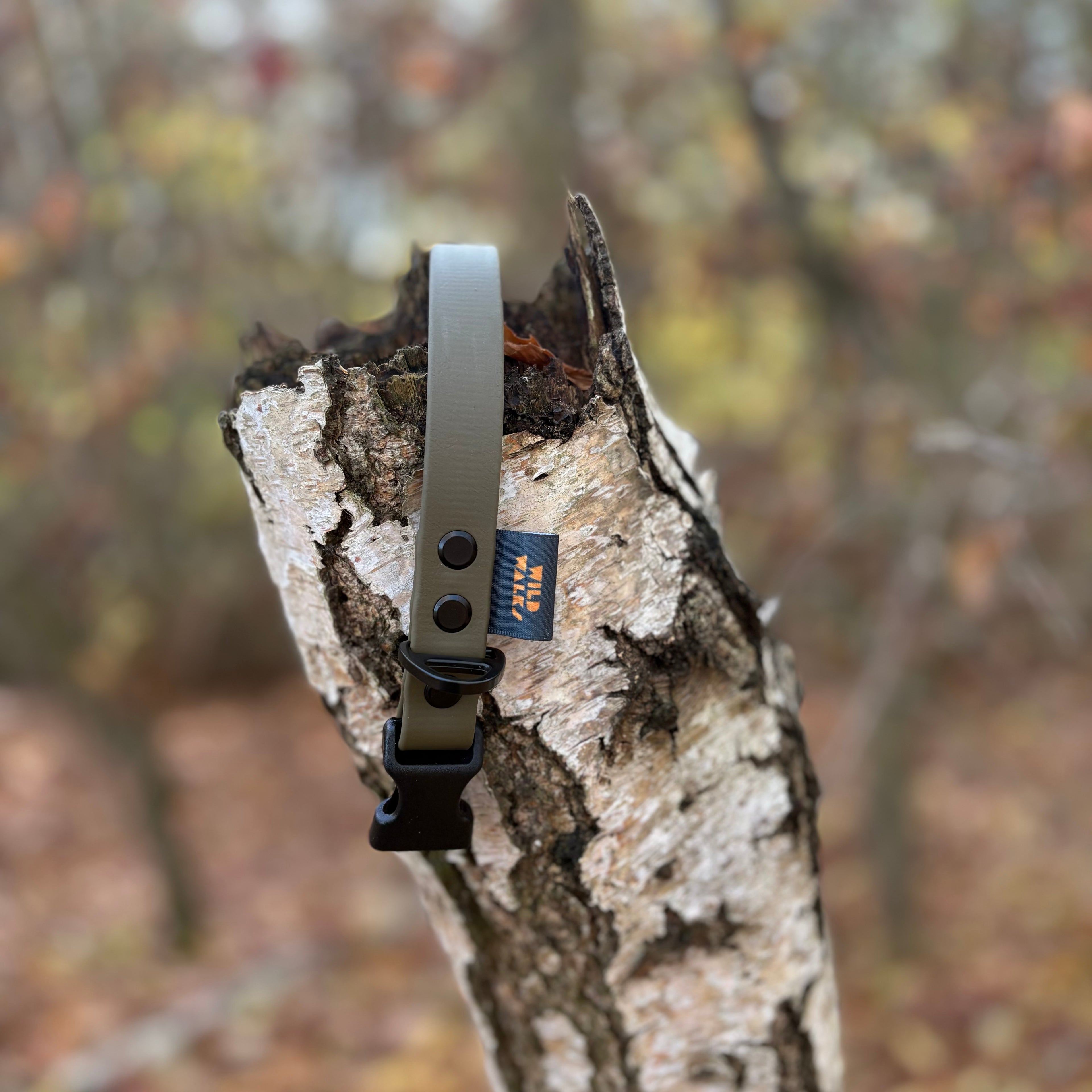 Autumn Adventures Waterproof Collar