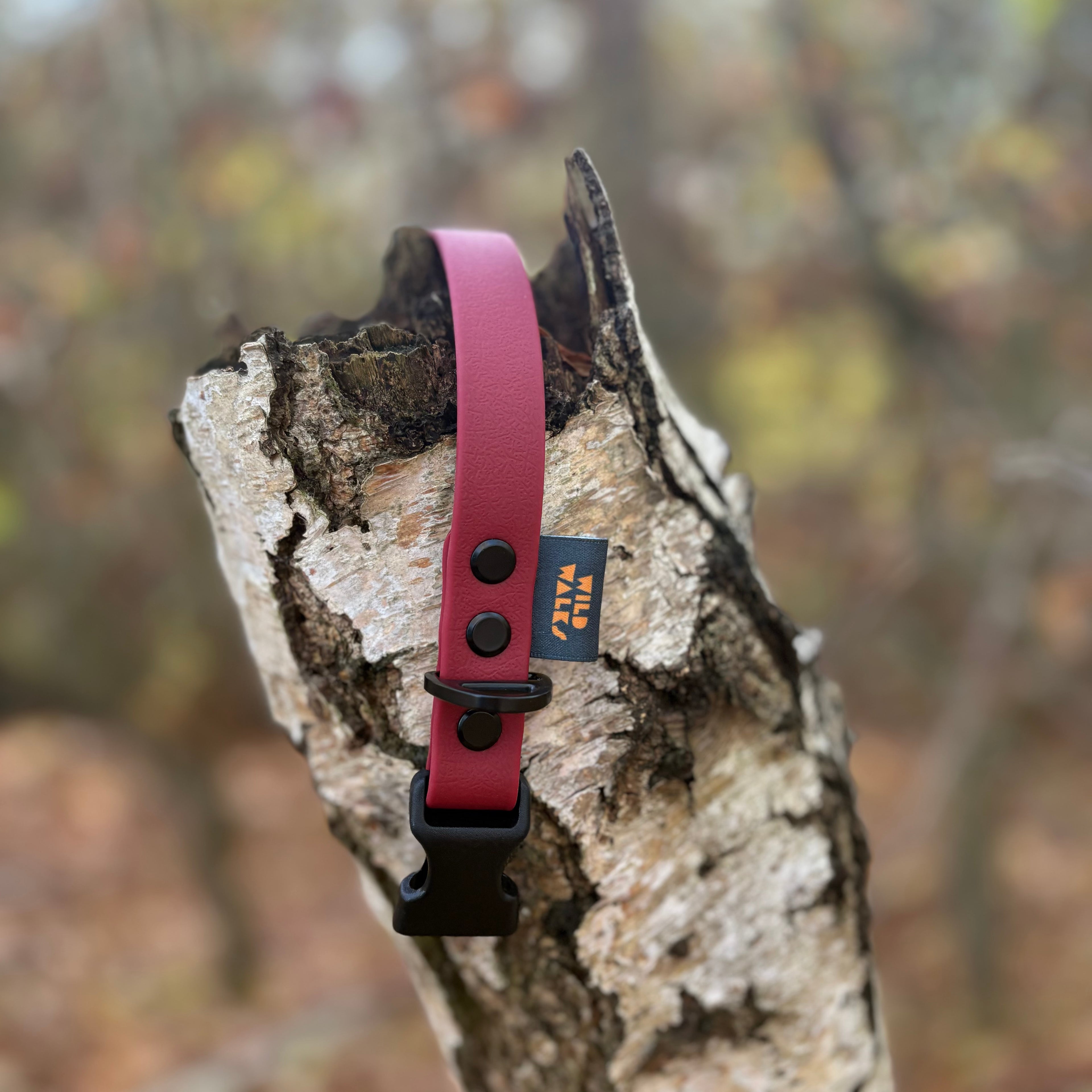 Autumn Adventures Waterproof Collar