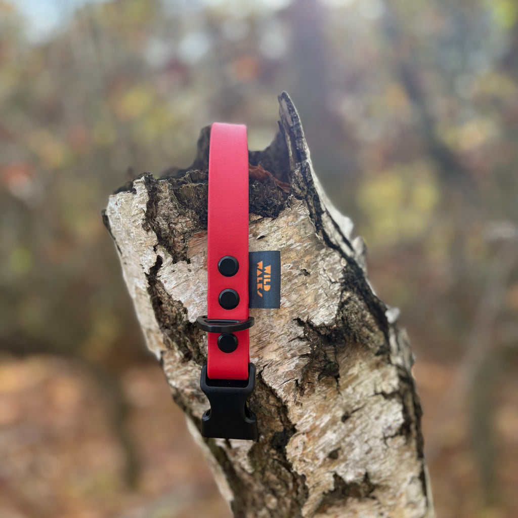 Autumn Adventures Waterproof Collar