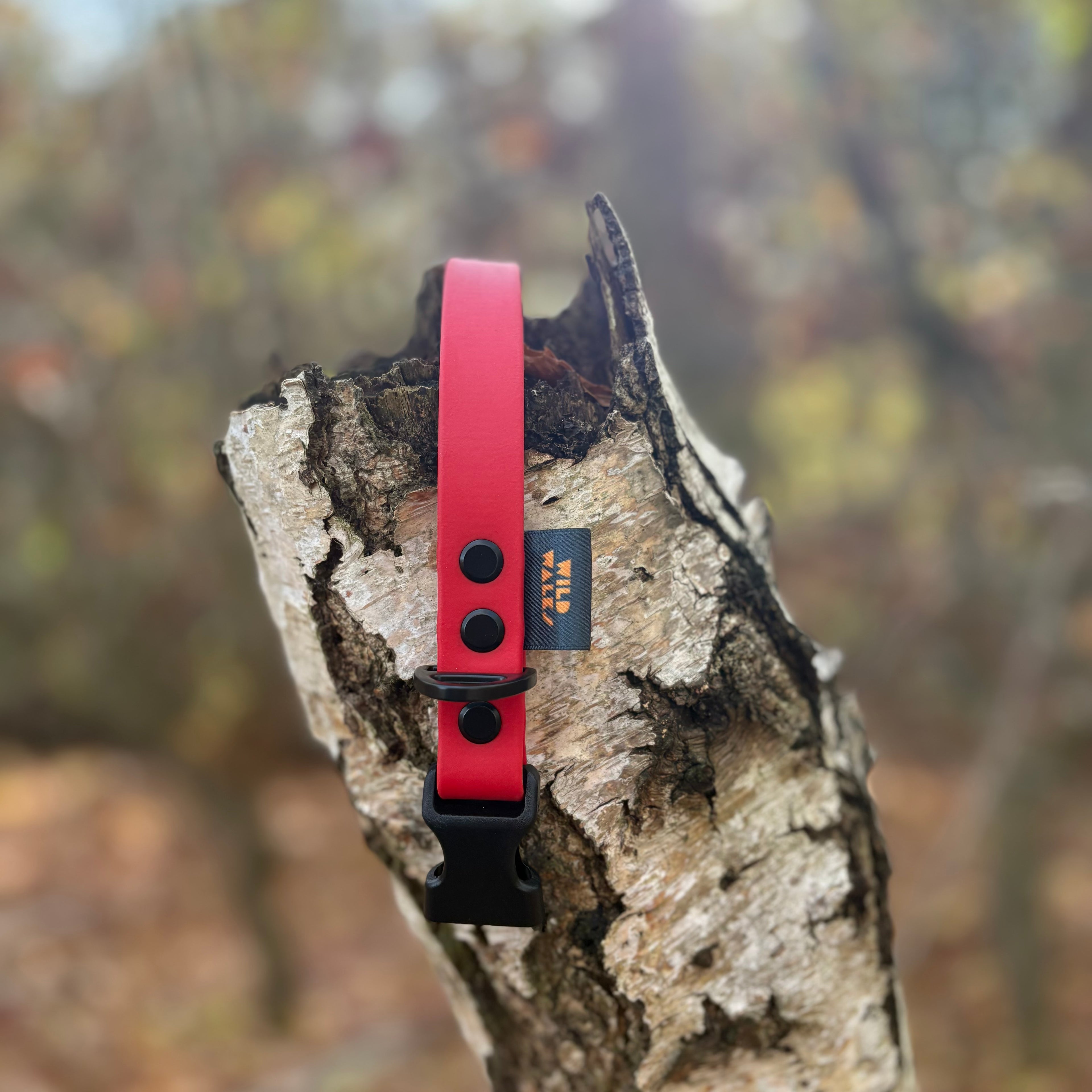 Autumn Adventures Waterproof Collar