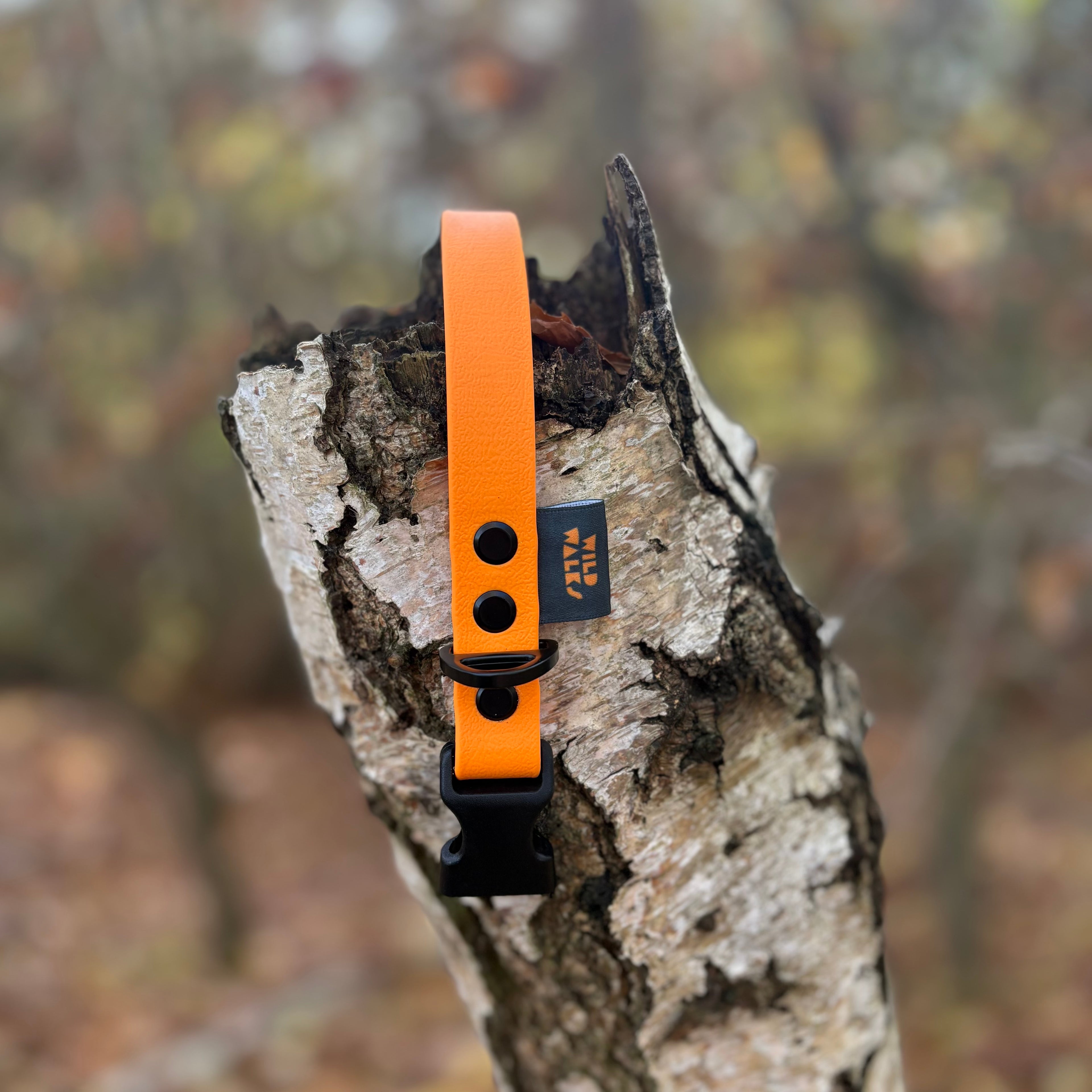 Autumn Adventures Waterproof Collar