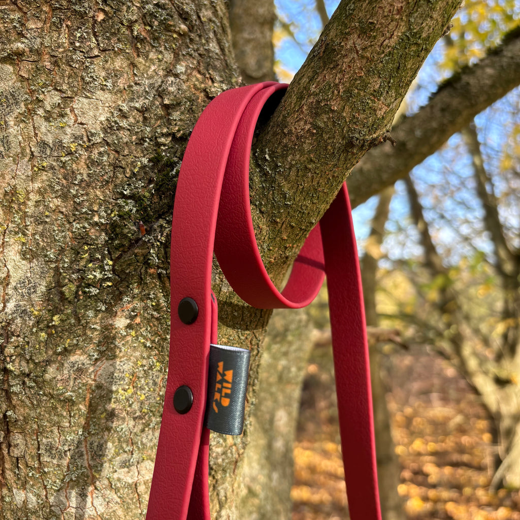 Autumn Adventures Waterproof Lead