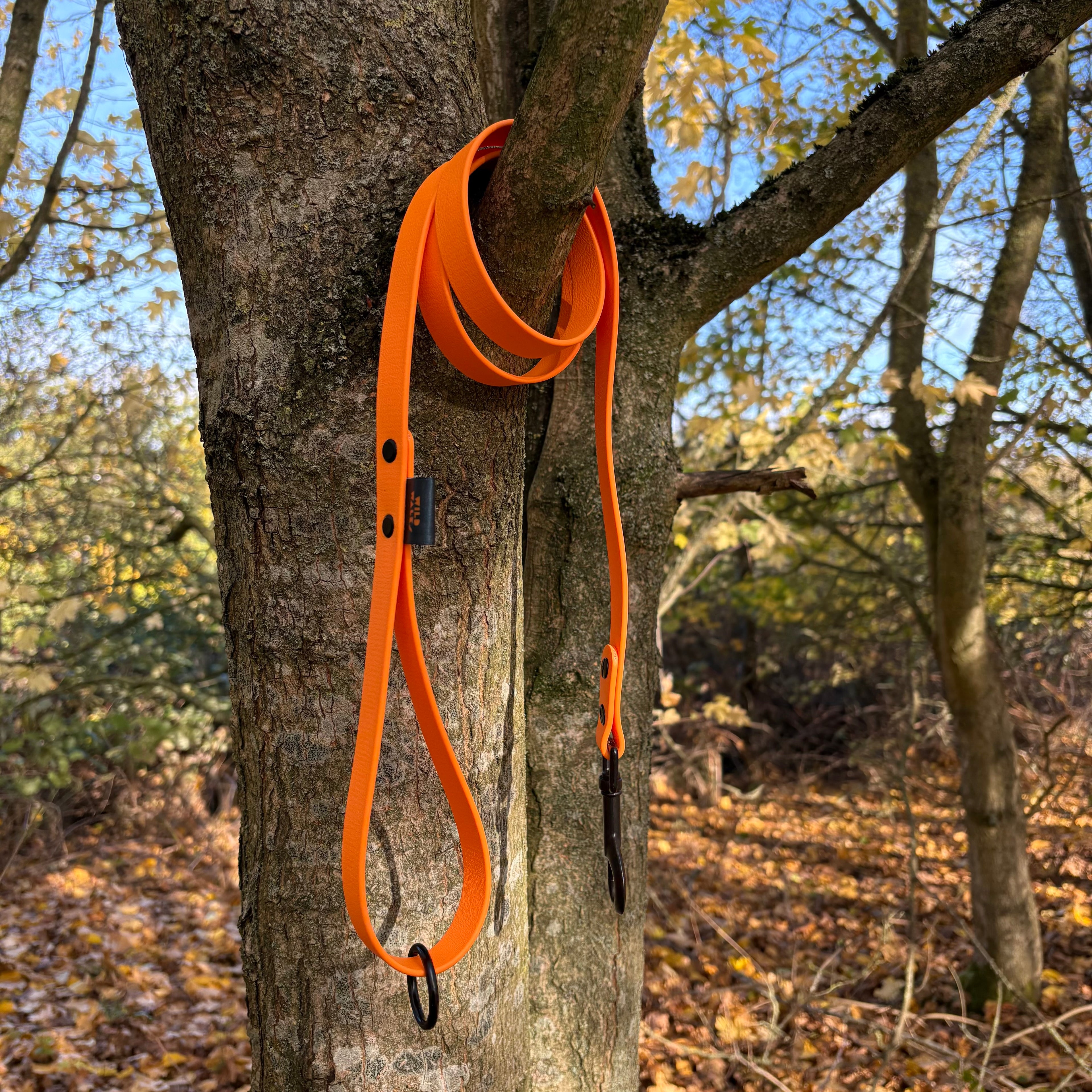 Autumn Adventures Waterproof Lead