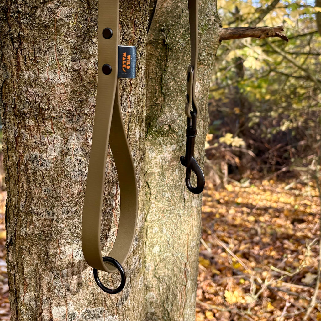 Autumn Adventures Waterproof Lead
