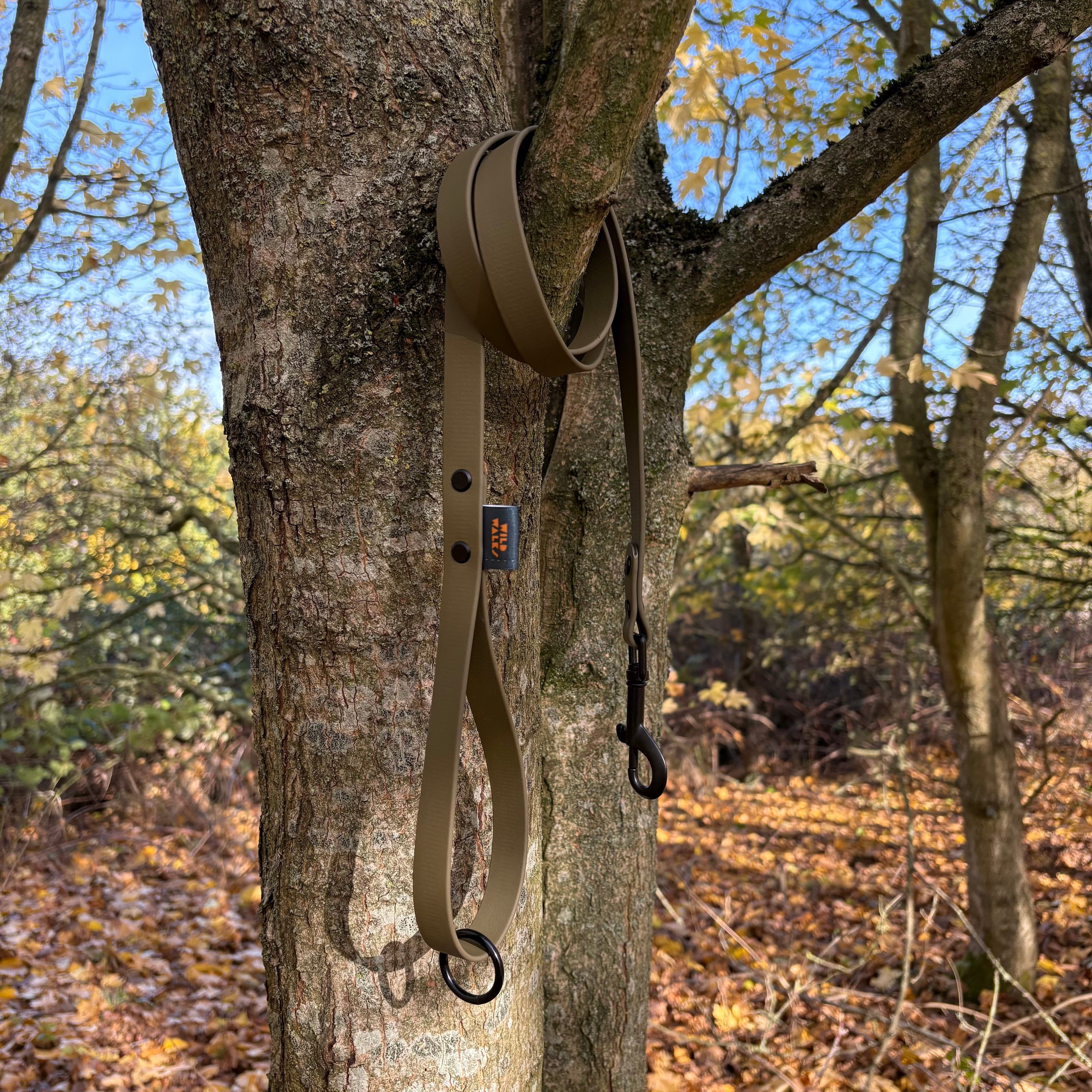 Autumn Adventures Waterproof Lead