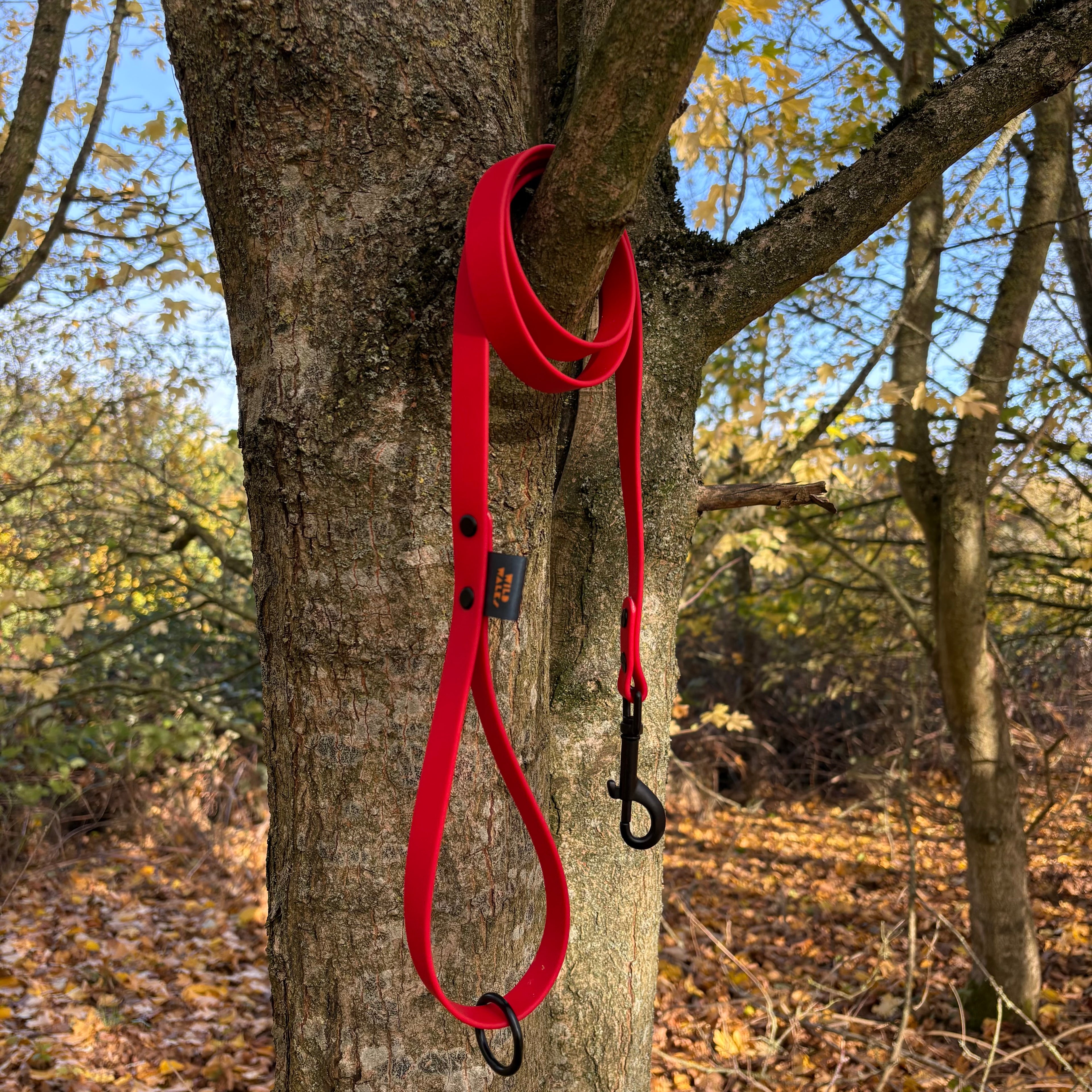 Autumn Adventures Waterproof Lead
