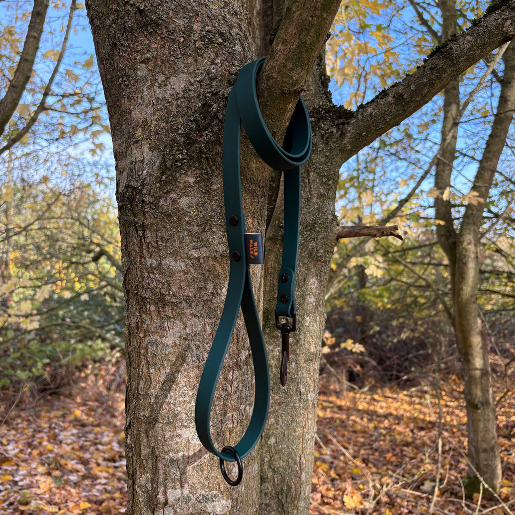 Autumn Adventures Waterproof Lead