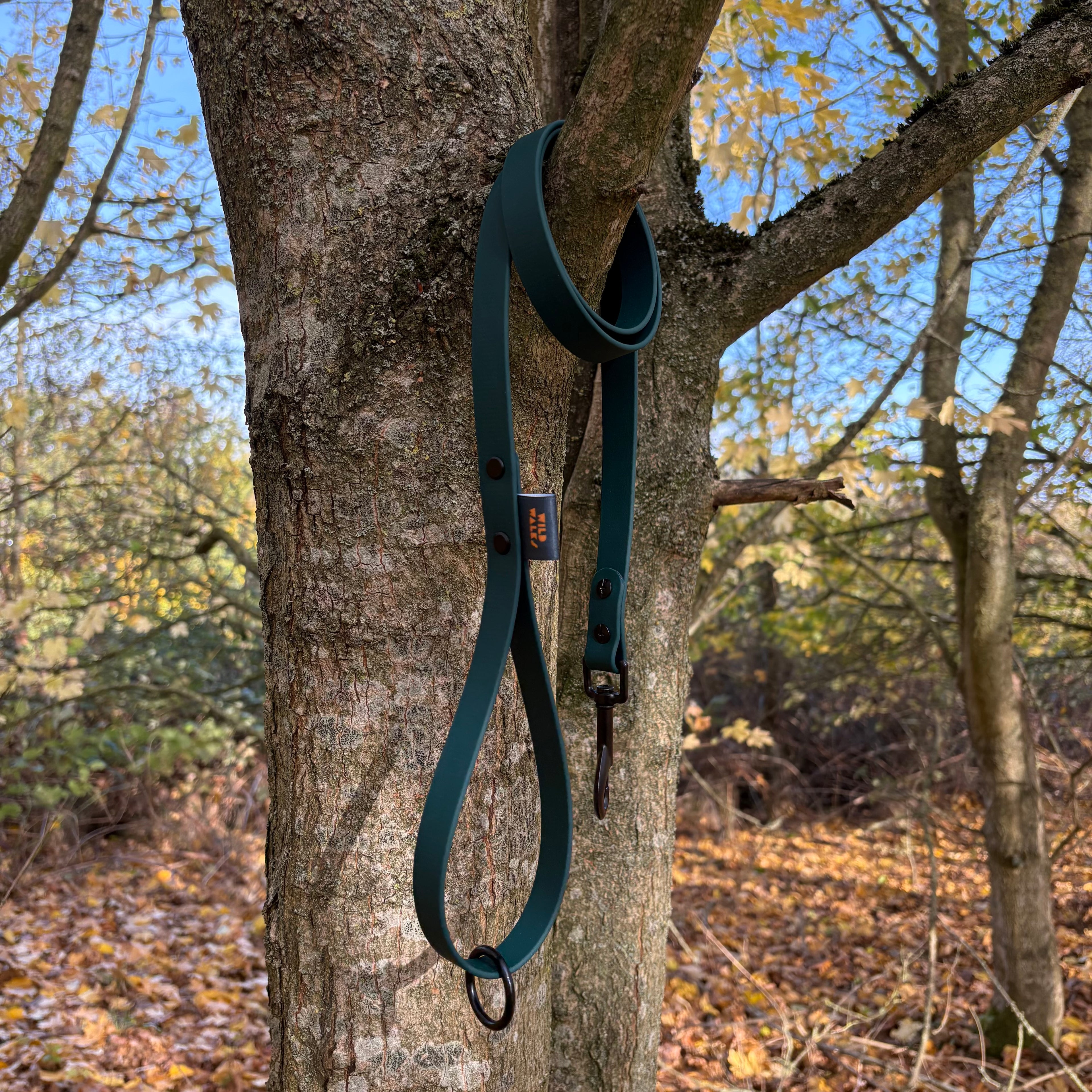 Autumn Adventures Waterproof Lead
