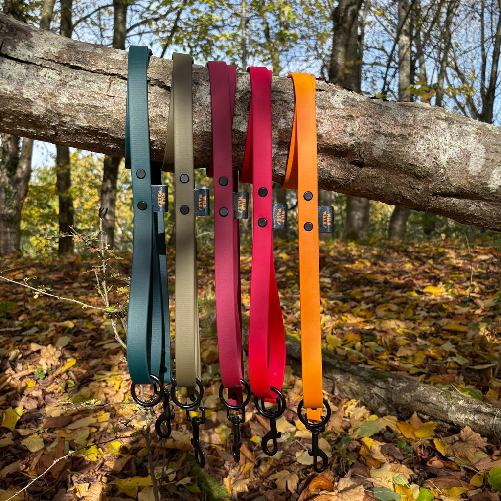 Autumn Adventures Waterproof Lead