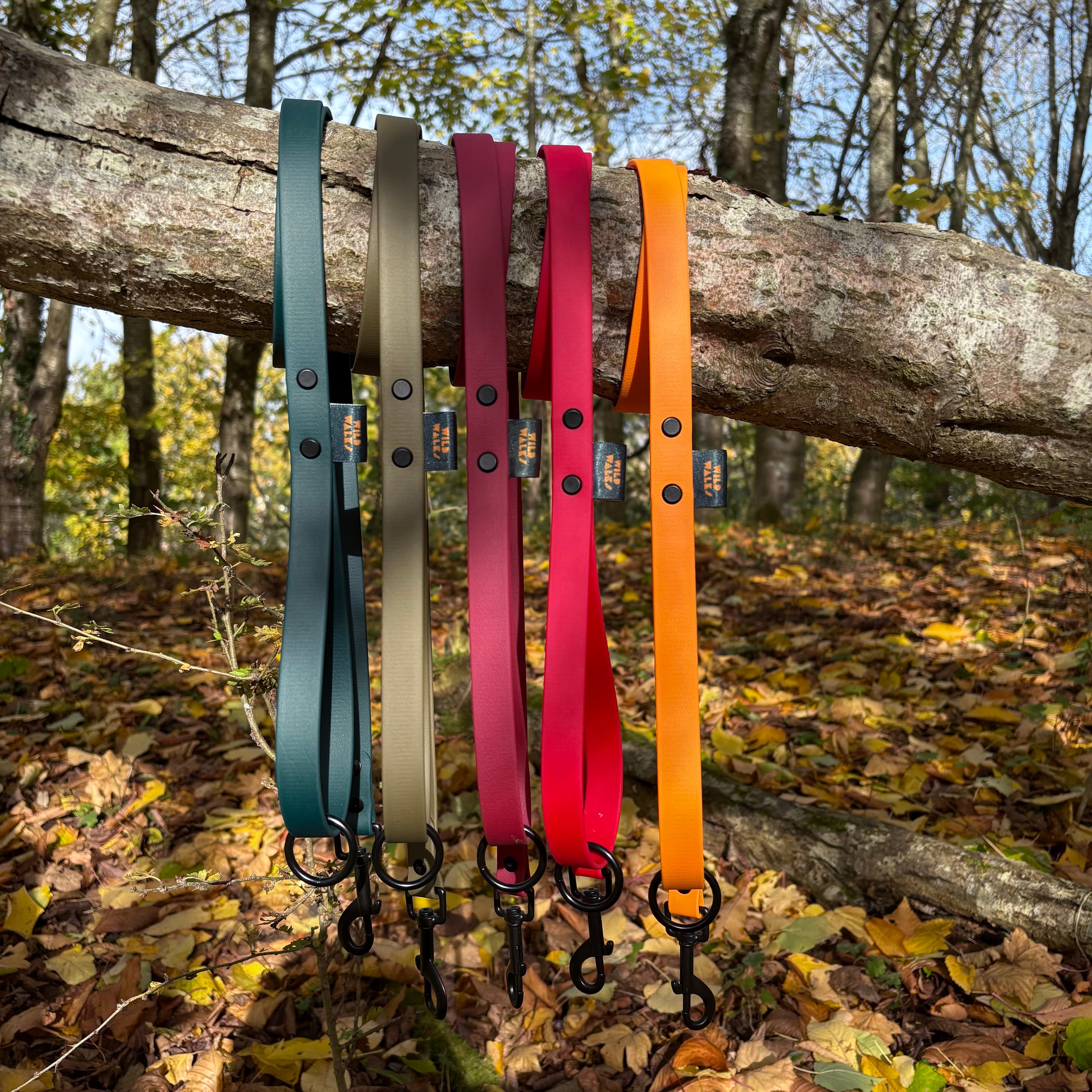 Autumn Adventures Waterproof Lead