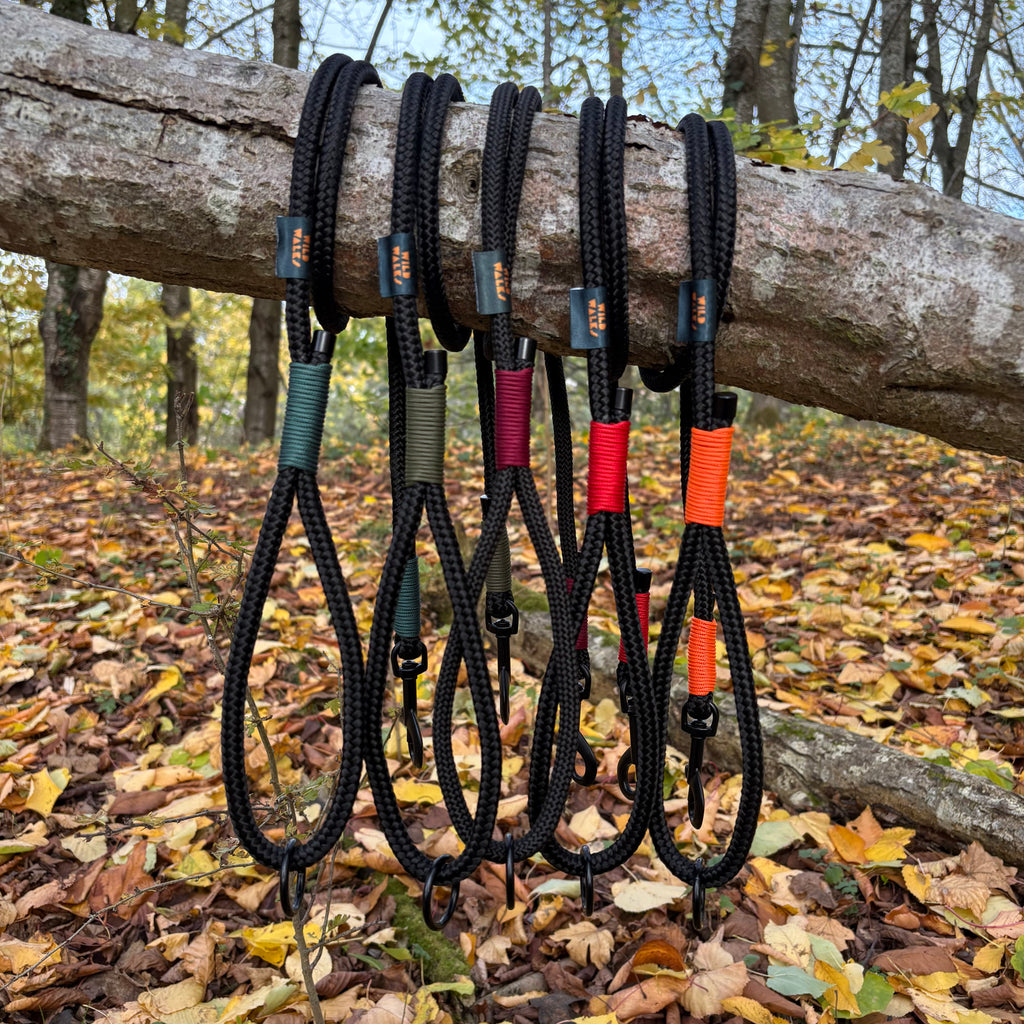 Autumn Adventures Premium Rope Lead