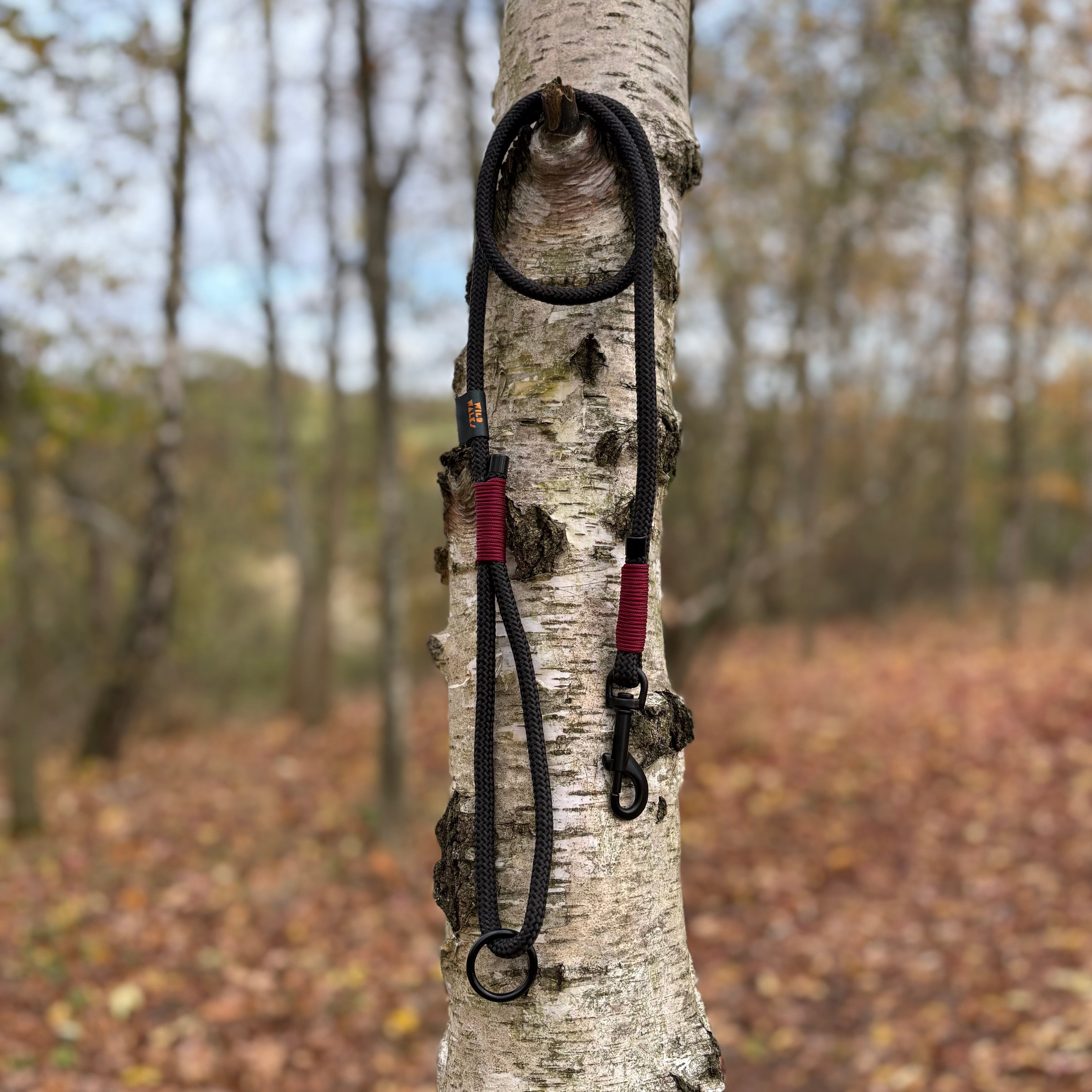 Autumn Adventures Premium Rope Lead