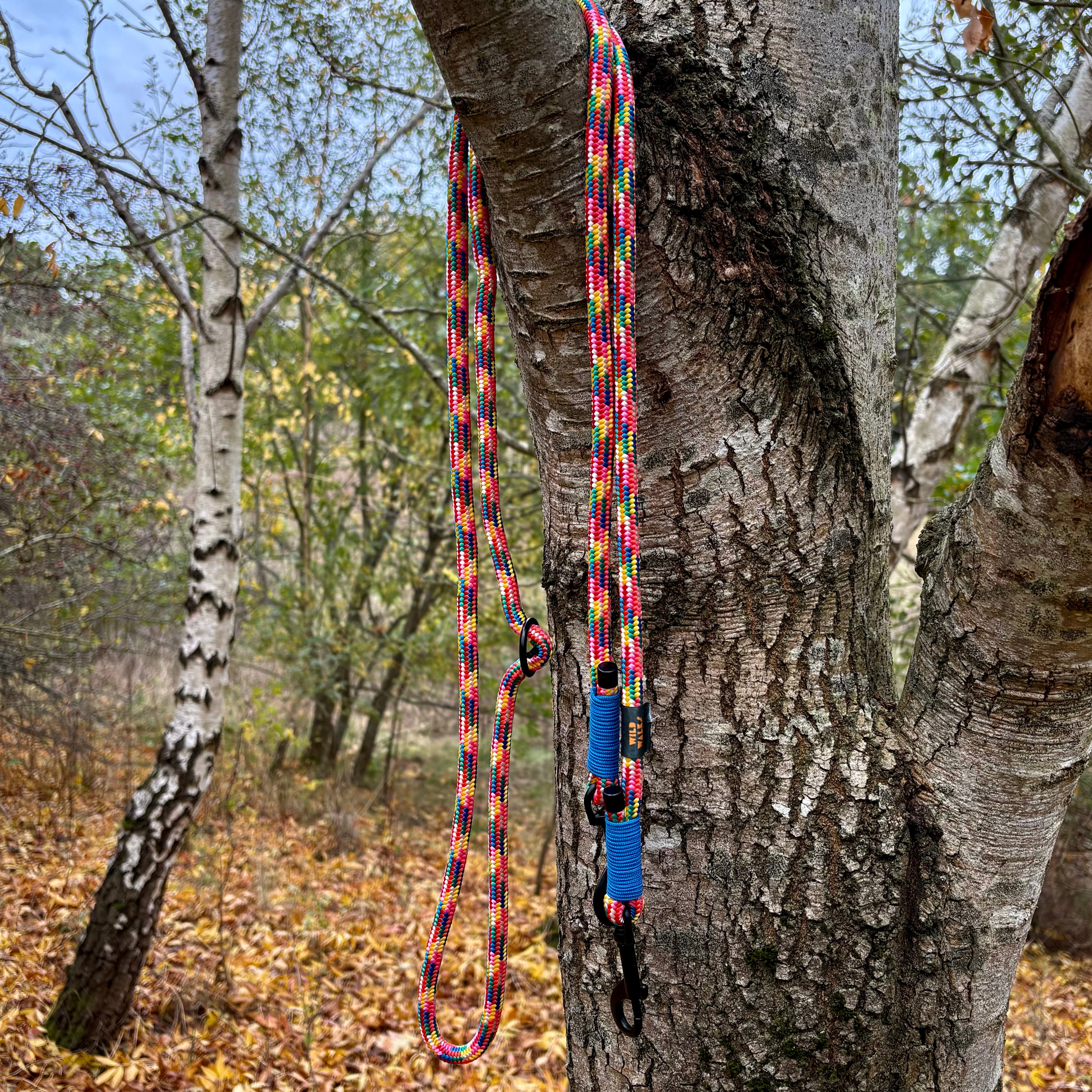 Pride Premium Rope Training Lead