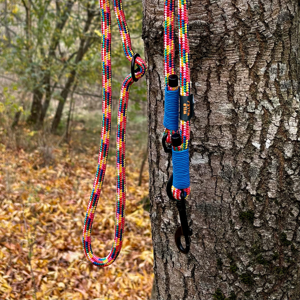 Pride Premium Rope Training Lead