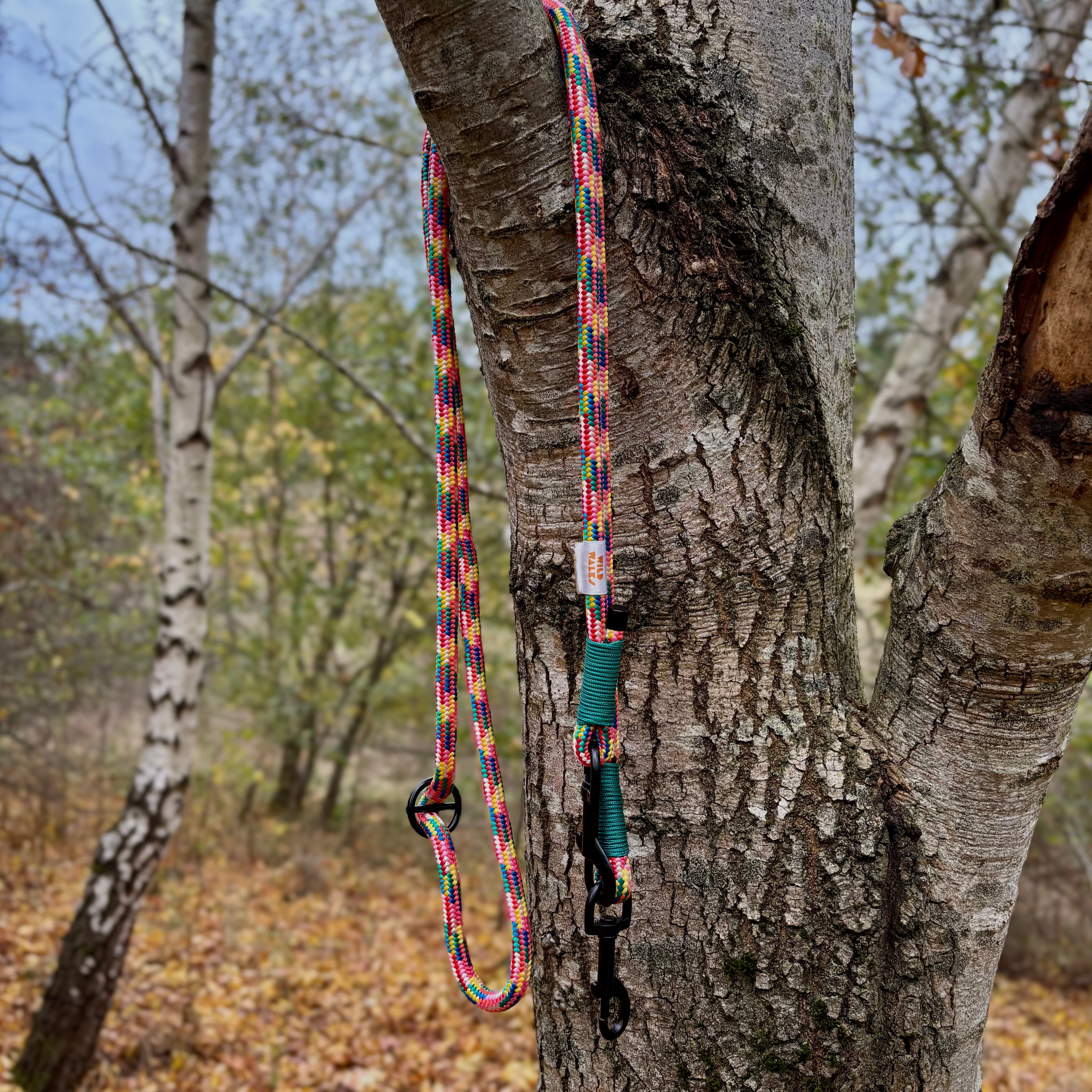 Pride Premium Rope Training Lead