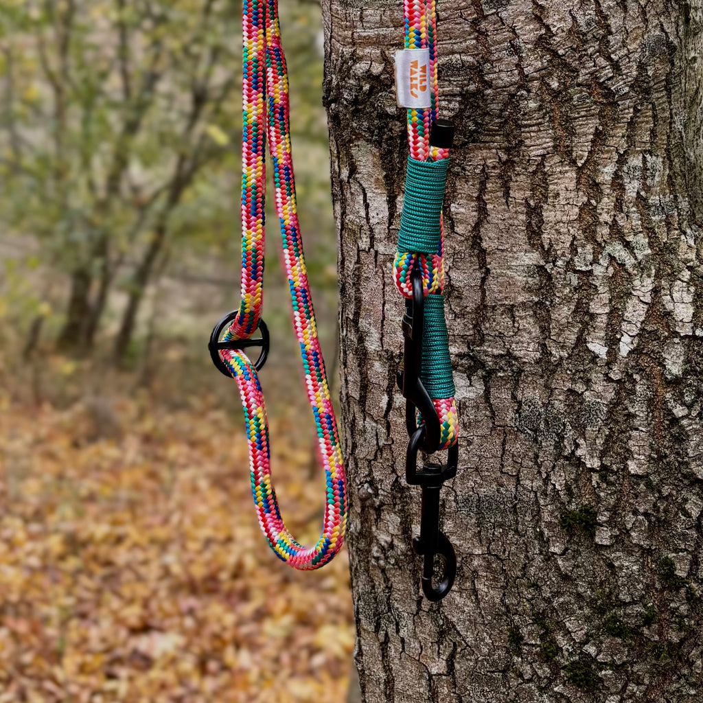 Pride Premium Rope Training Lead