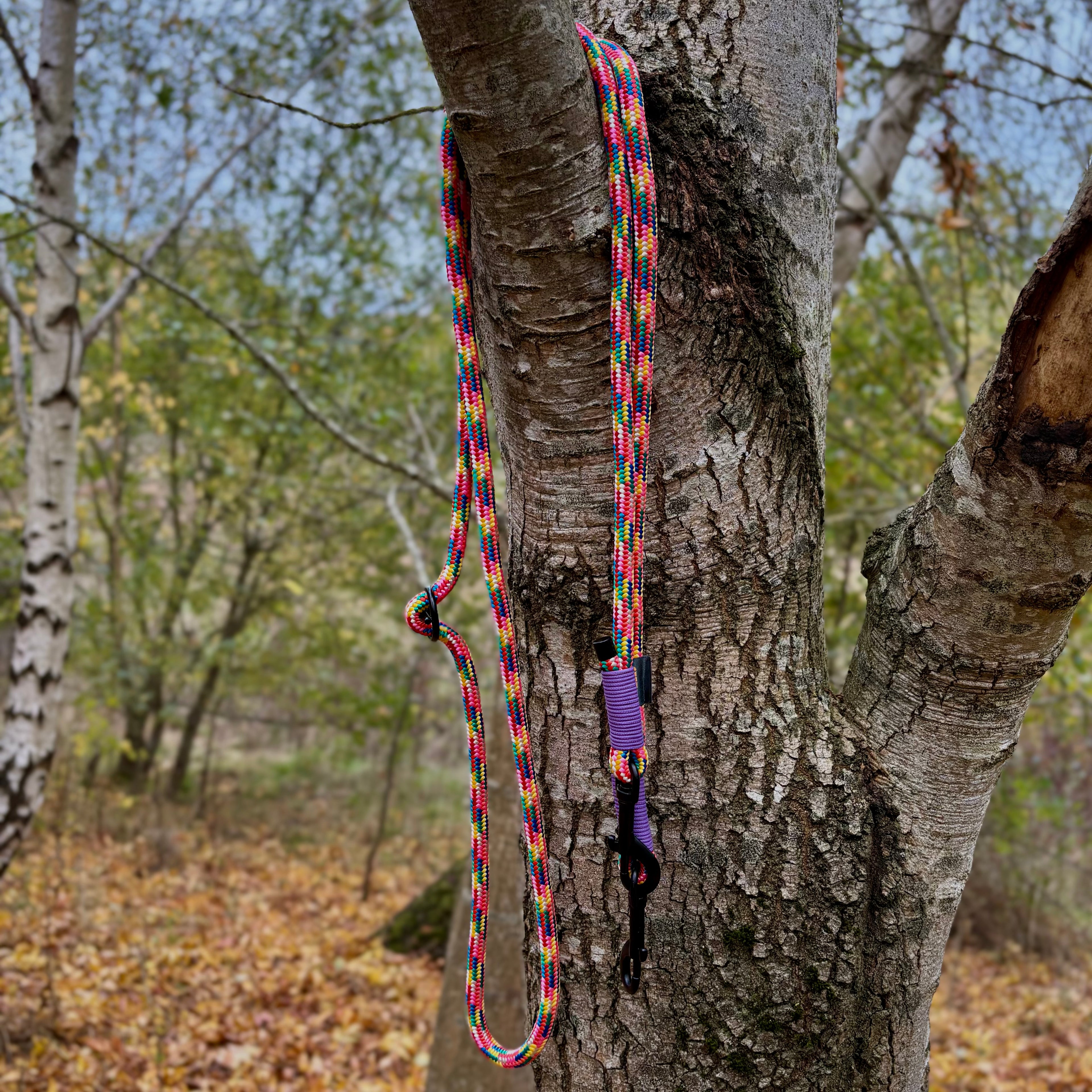 Pride Premium Rope Training Lead