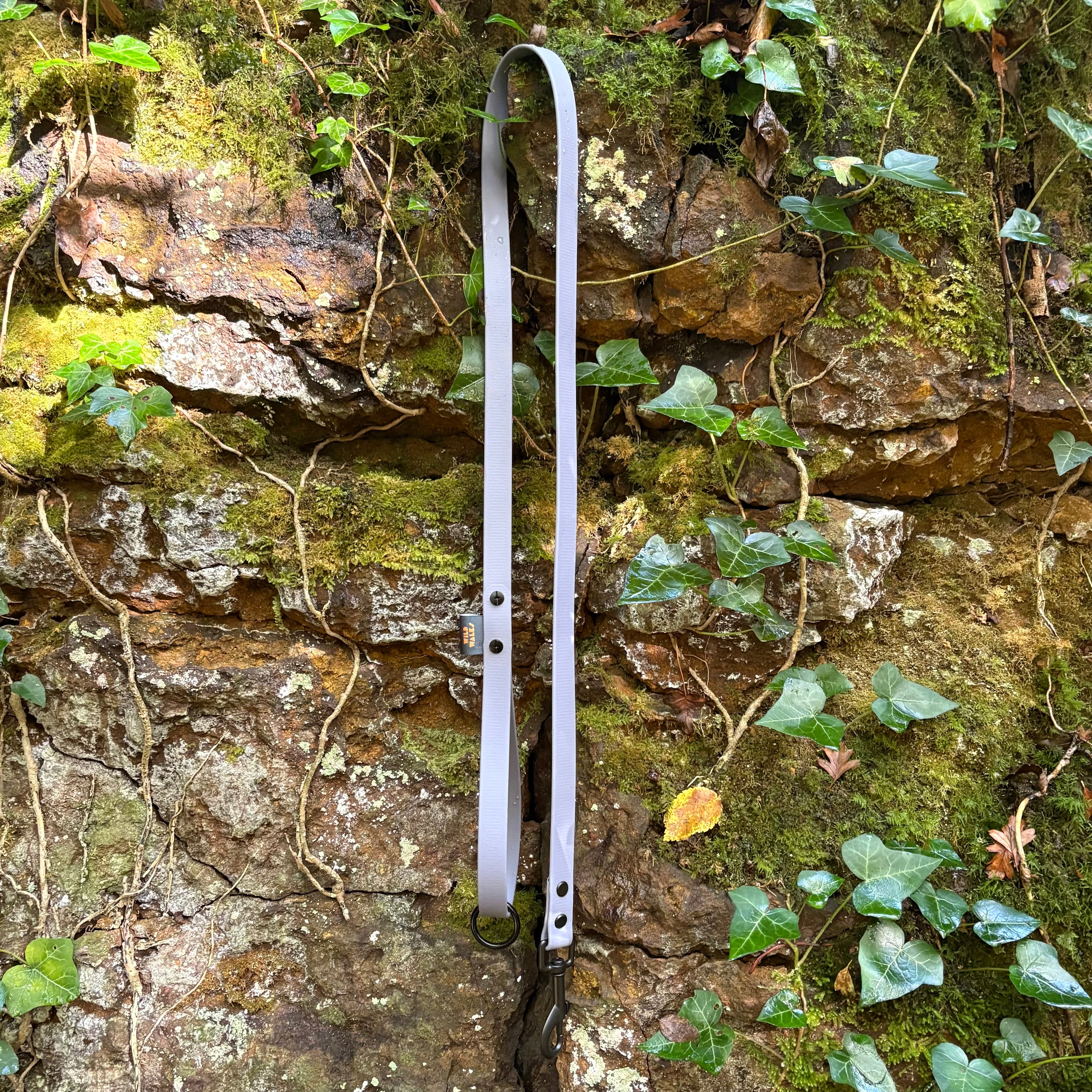 Aurora Waterproof Lead