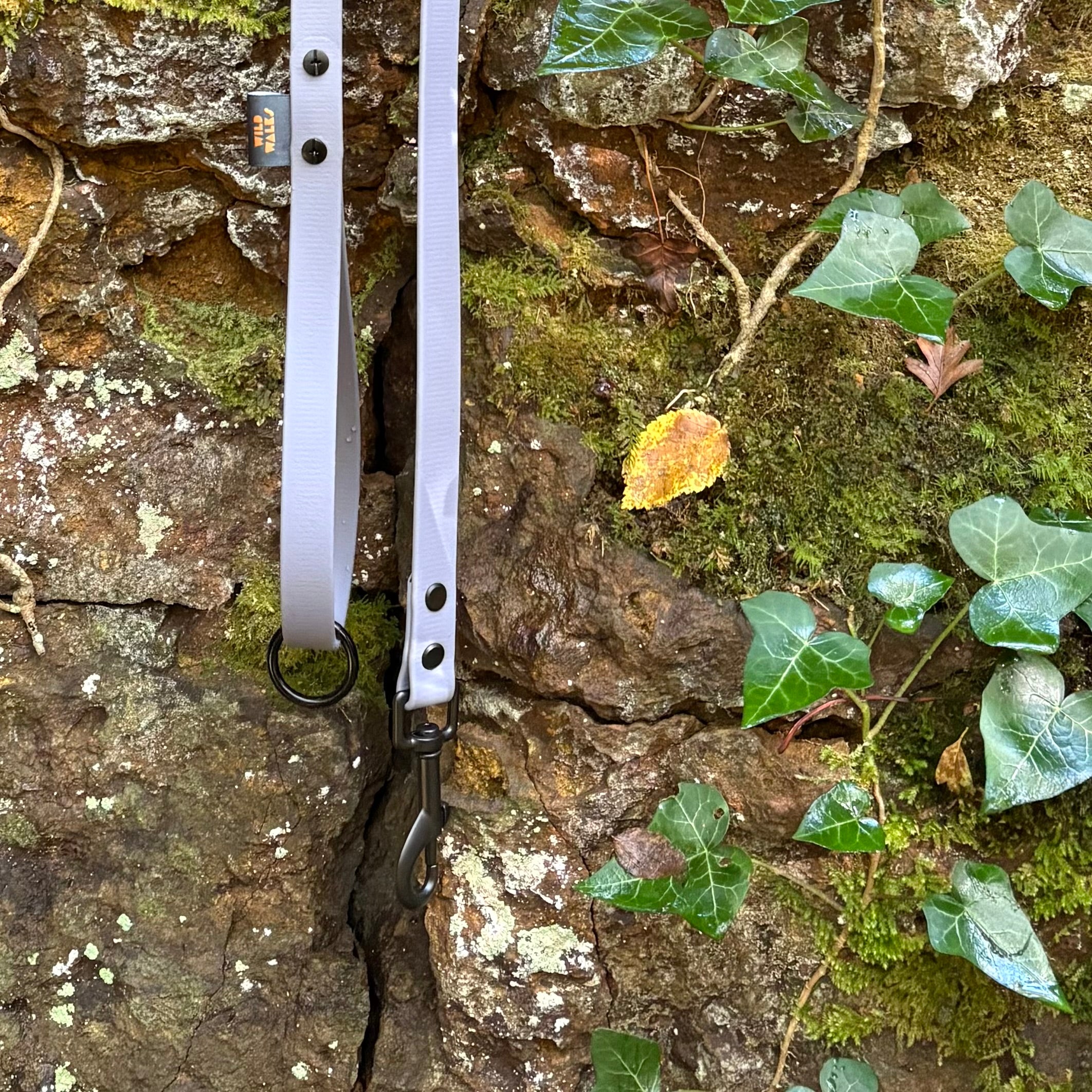 Aurora Waterproof Lead