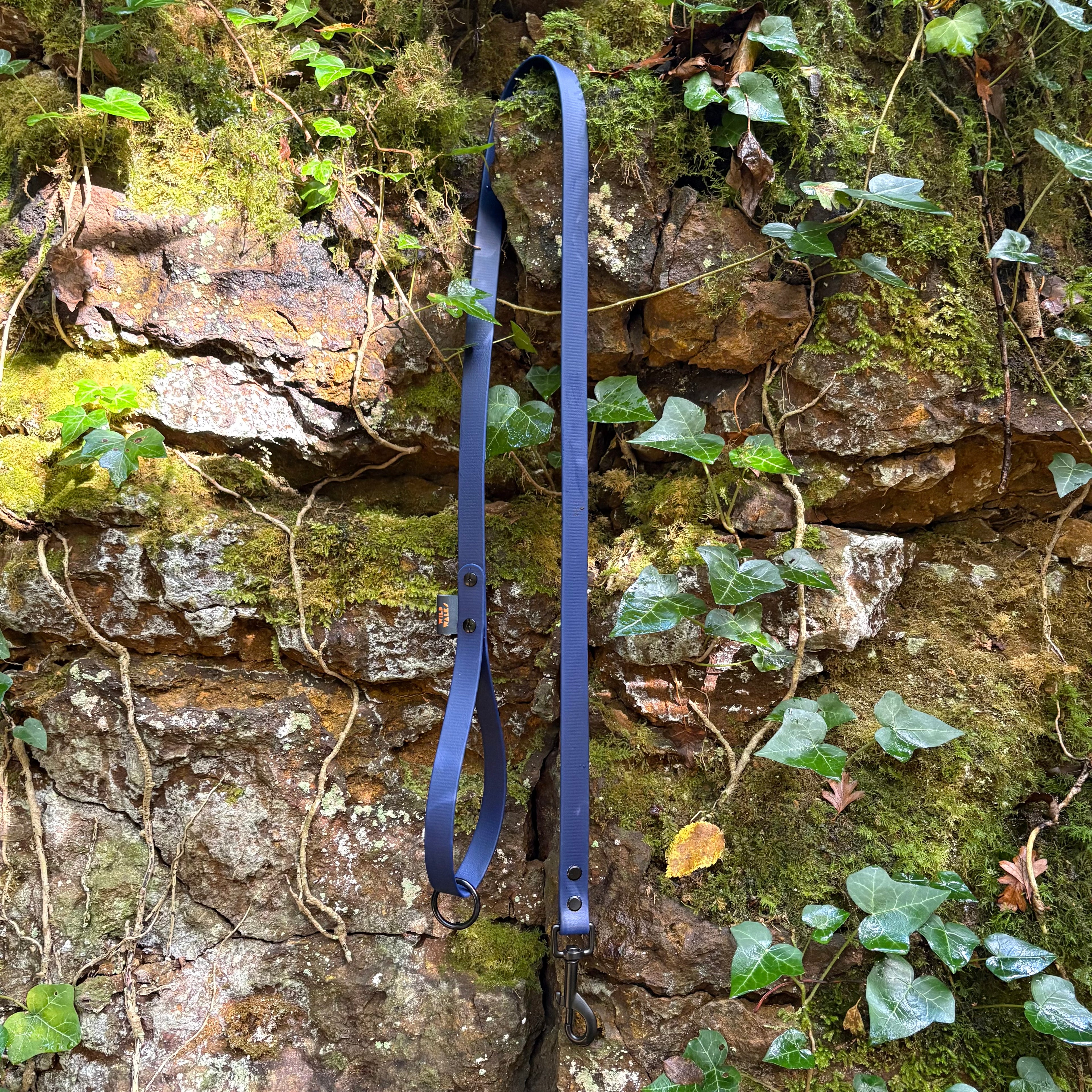 Aurora Waterproof Lead