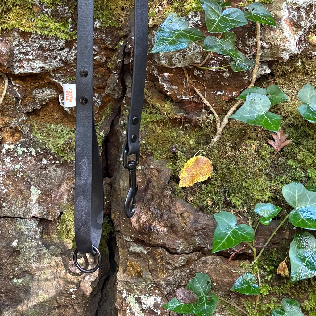 Aurora Waterproof Lead