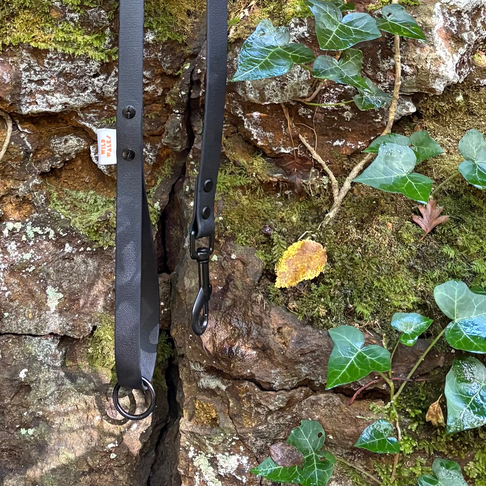 Aurora Waterproof Lead