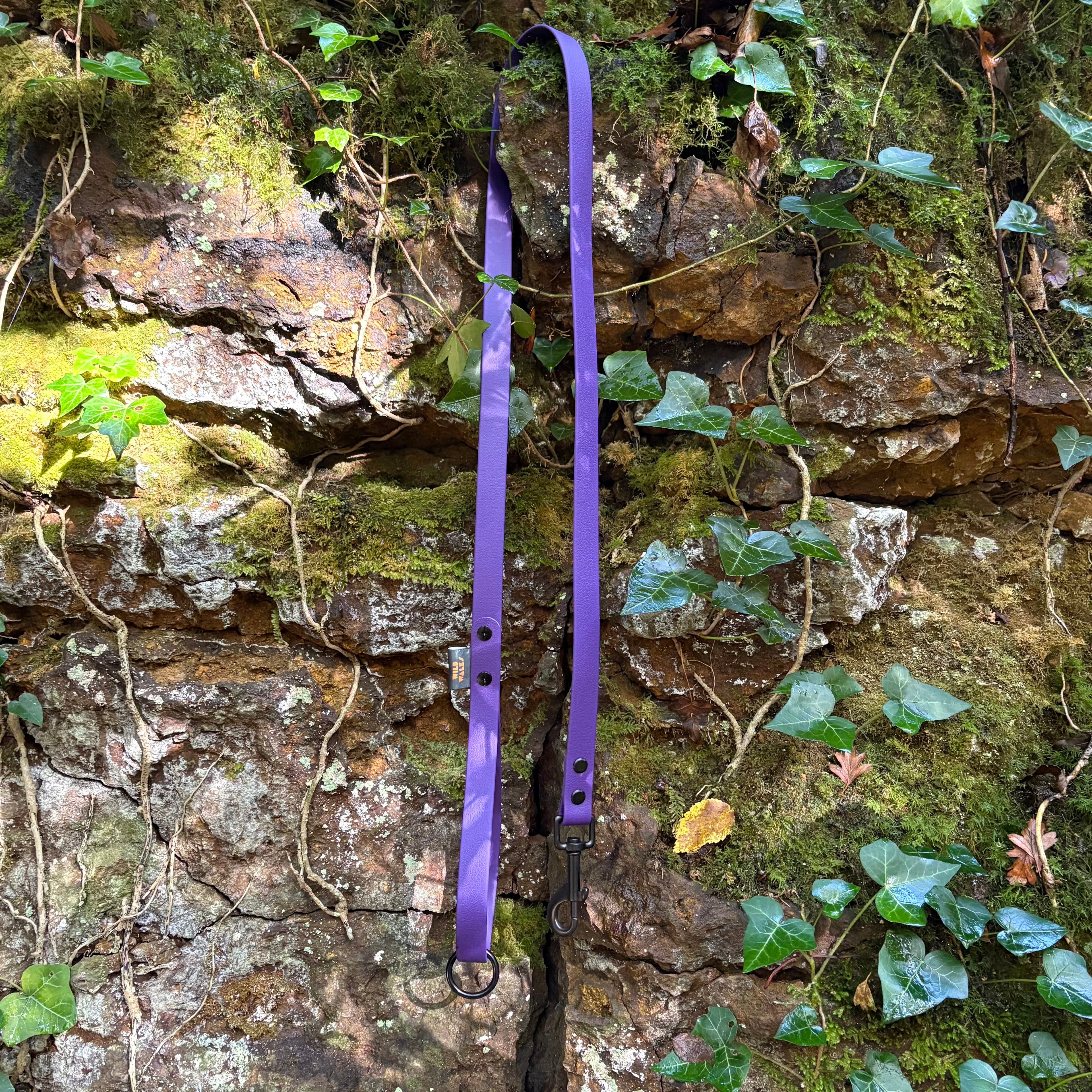 Aurora Waterproof Lead