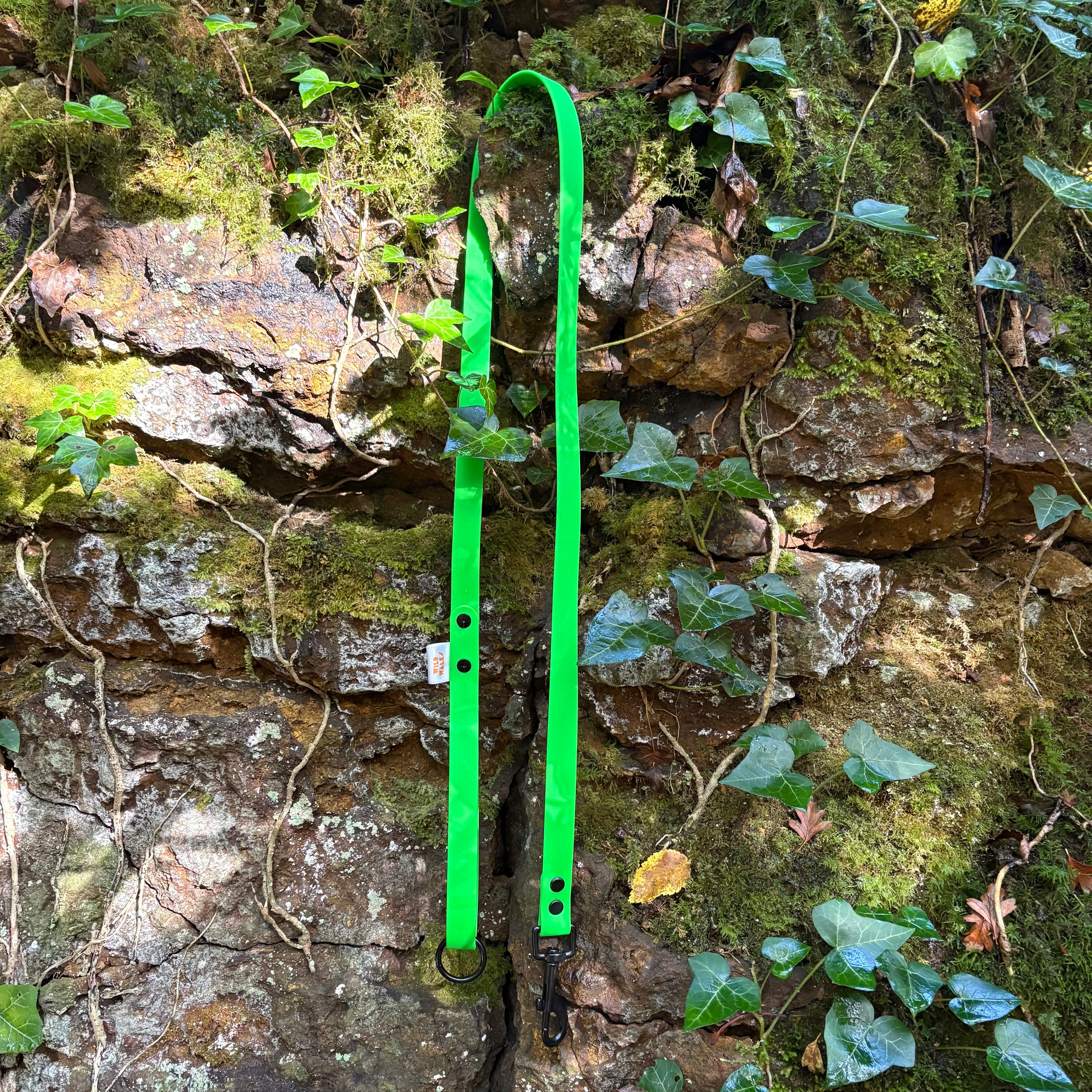 Aurora Waterproof Lead